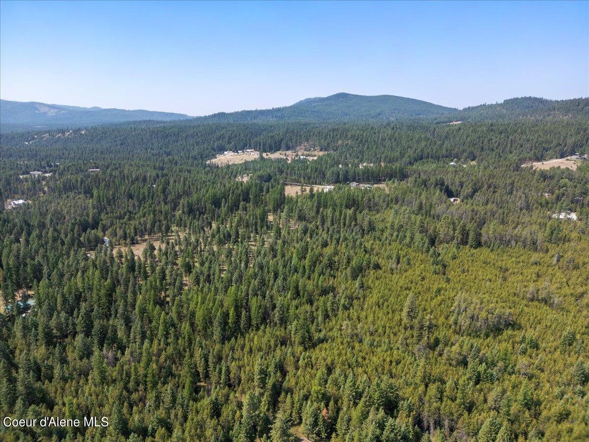 311 Bigfoot Rd, Newport, Washington image 10