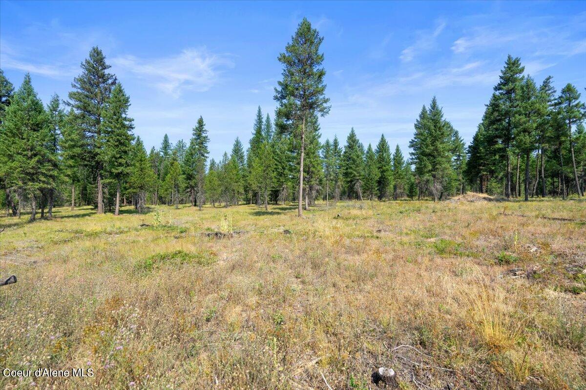 311 Bigfoot Rd, Newport, Washington image 18