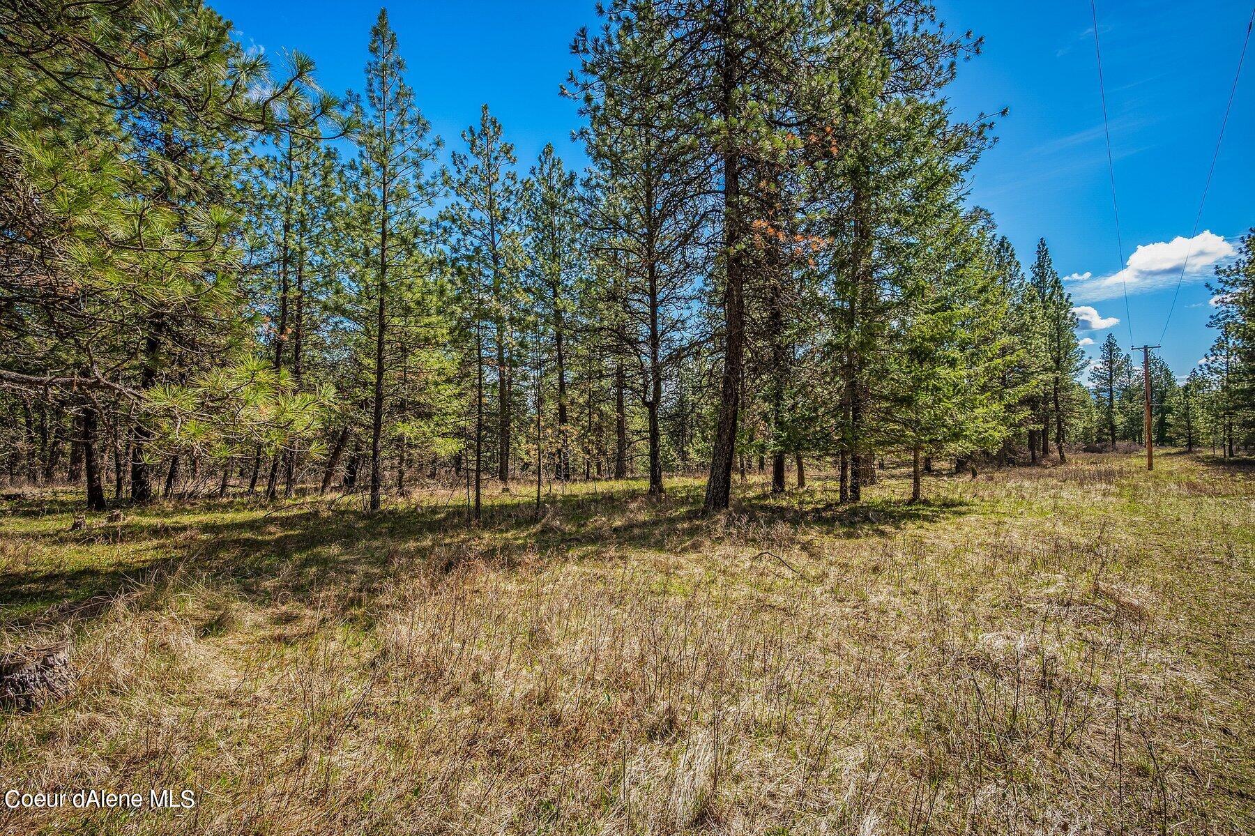 NKA Becky Lane, Worley, Idaho image 11