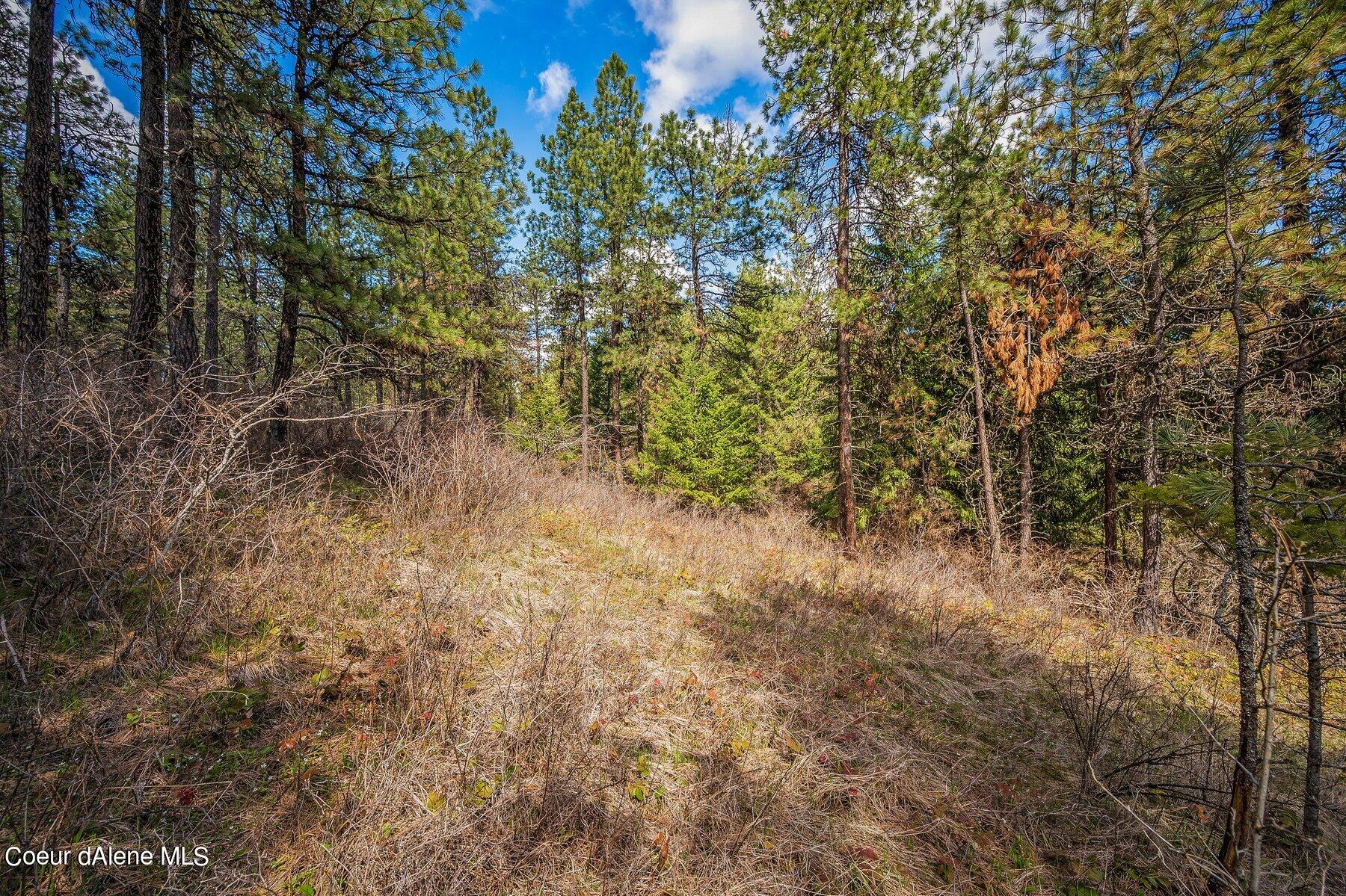 NKA Becky Lane, Worley, Idaho image 18