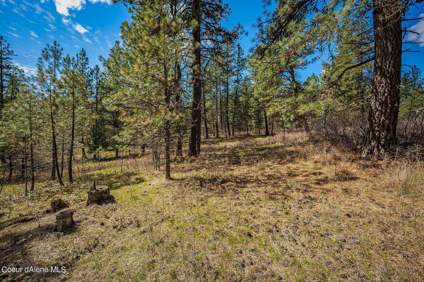 NKA Becky Lane, Worley, Idaho image 26