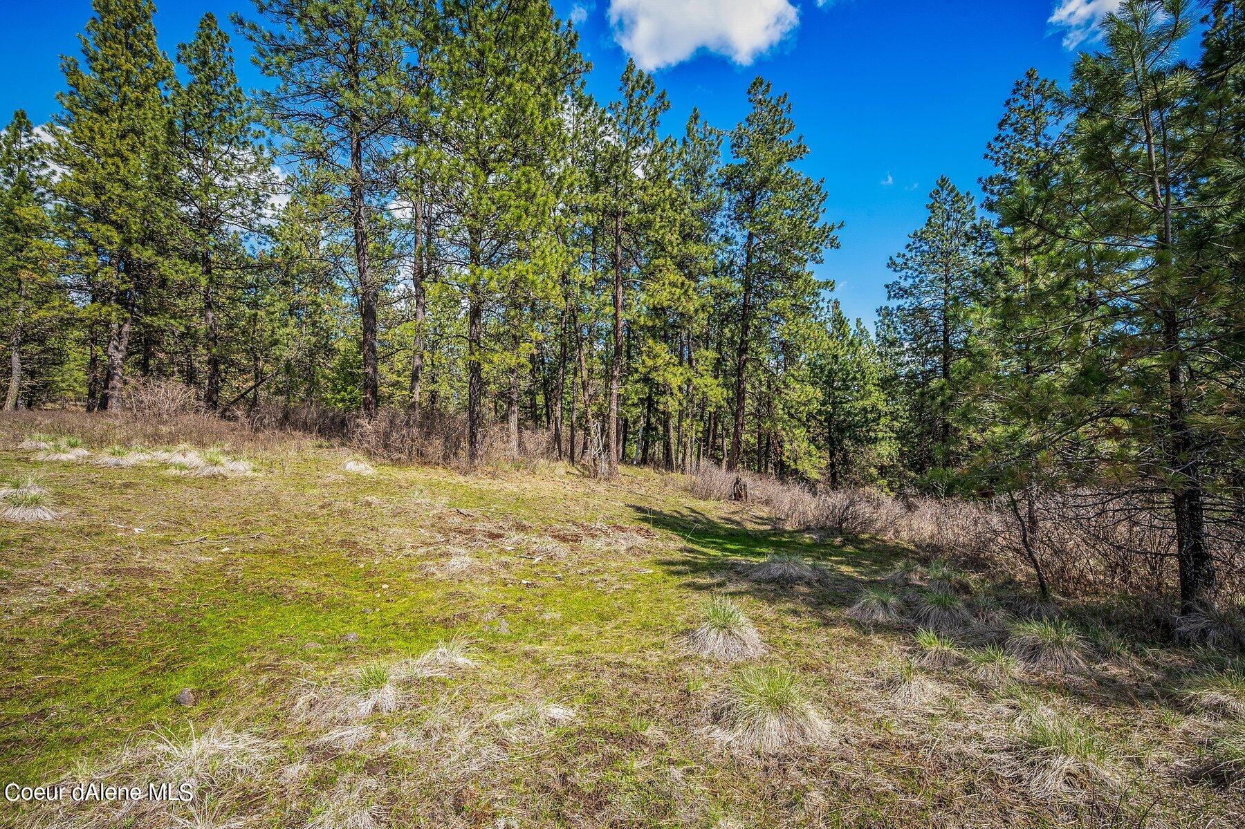 NKA Becky Lane, Worley, Idaho image 14