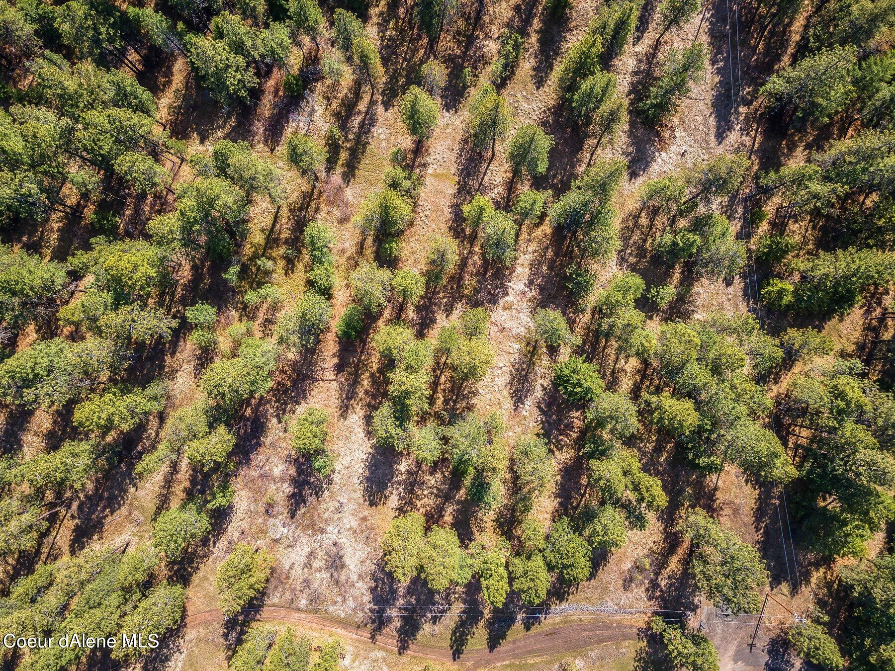 NKA Becky Lane, Worley, Idaho image 46