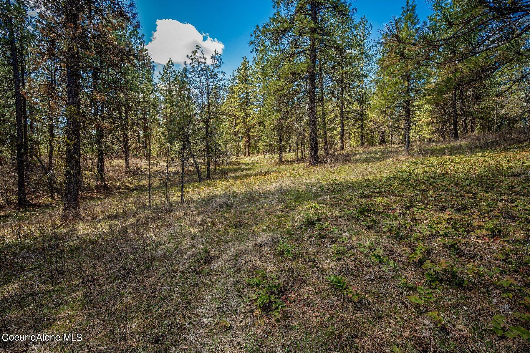 NKA Becky Lane, Worley, Idaho image 8