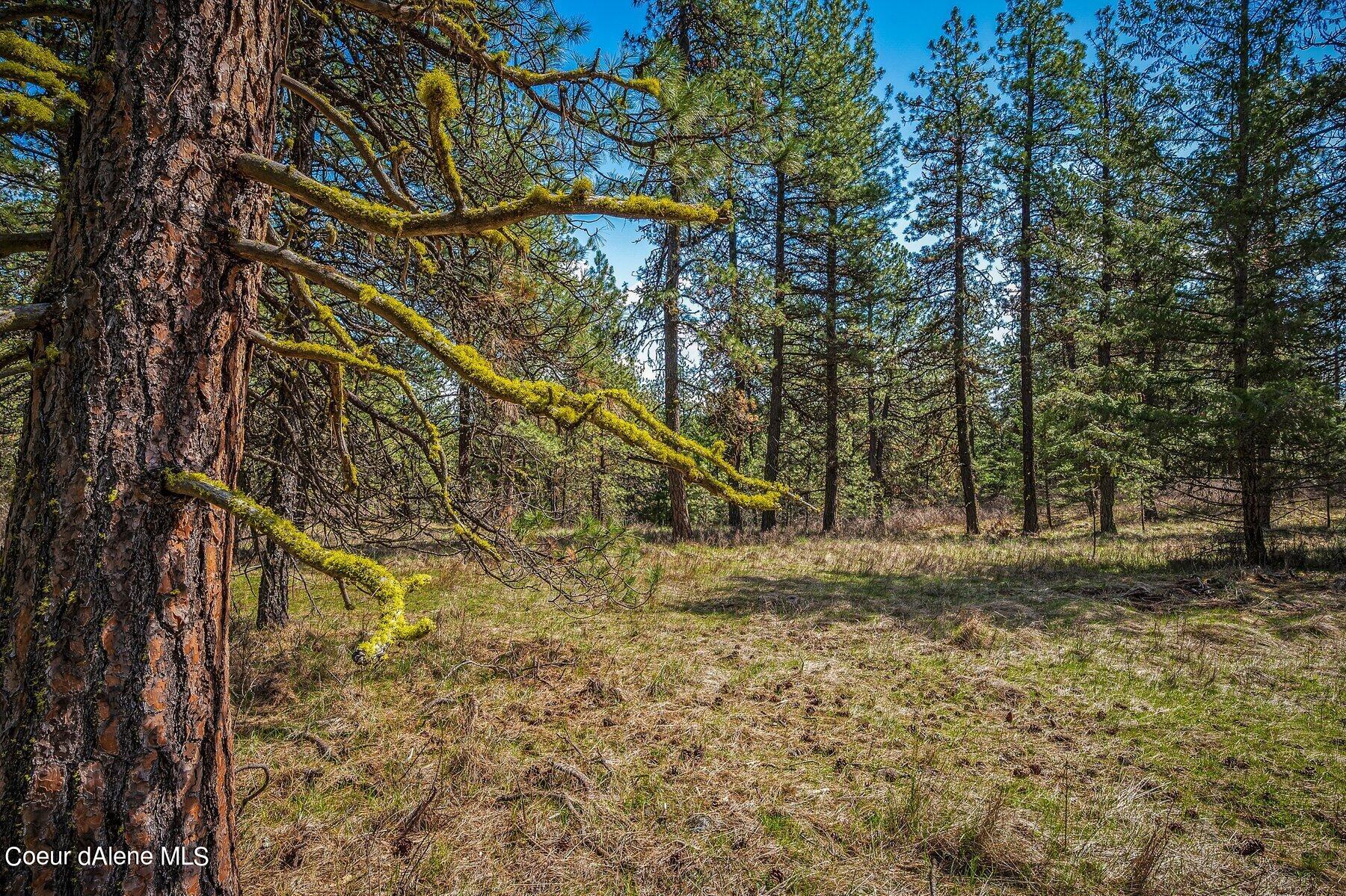 NKA Becky Lane, Worley, Idaho image 12