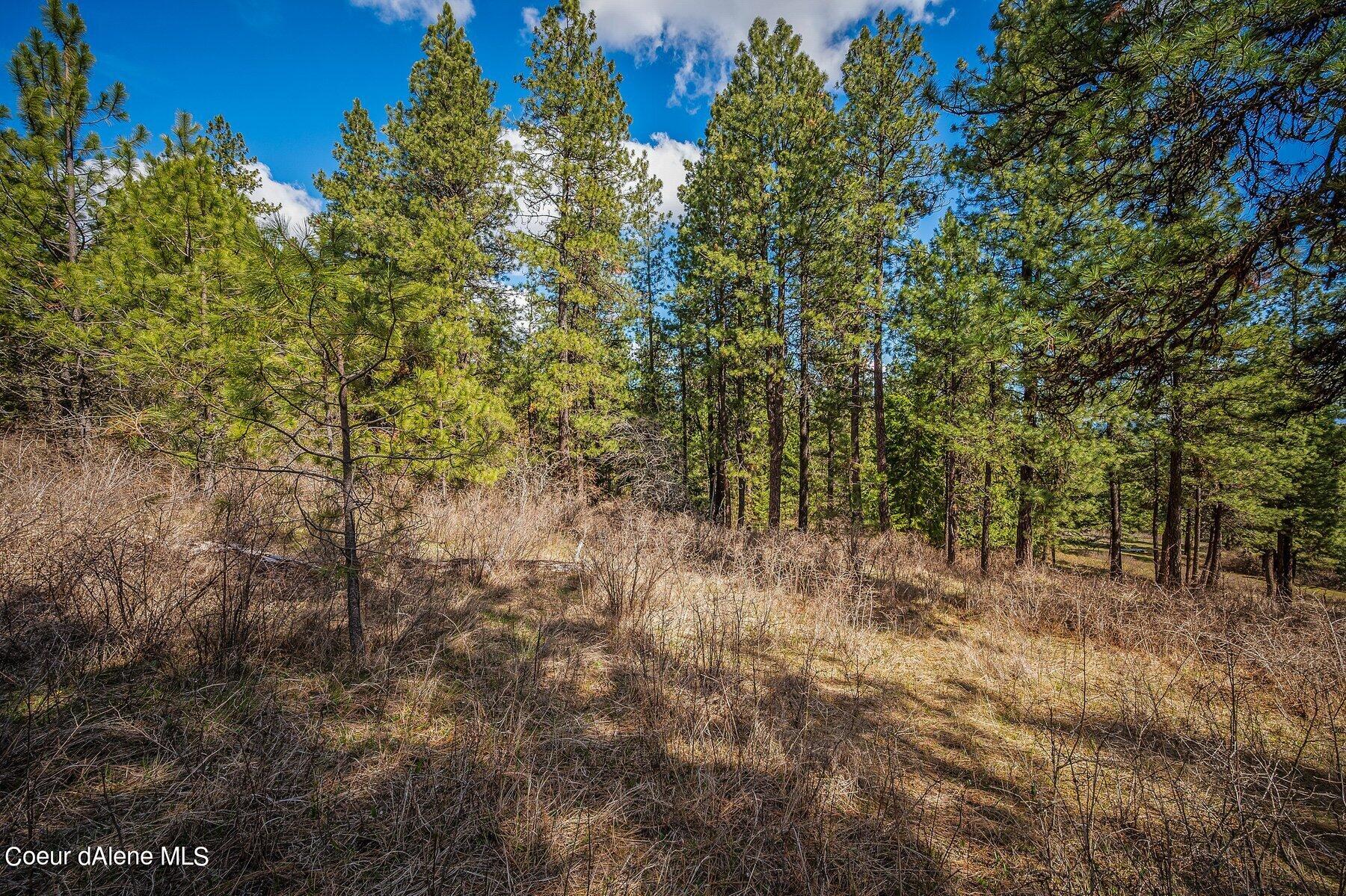 NKA Becky Lane, Worley, Idaho image 16