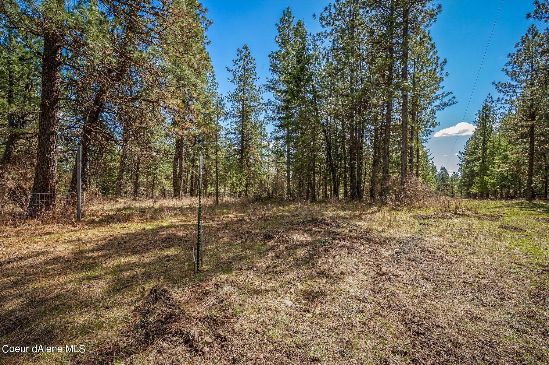 NKA Becky Lane, Worley, Idaho image 7