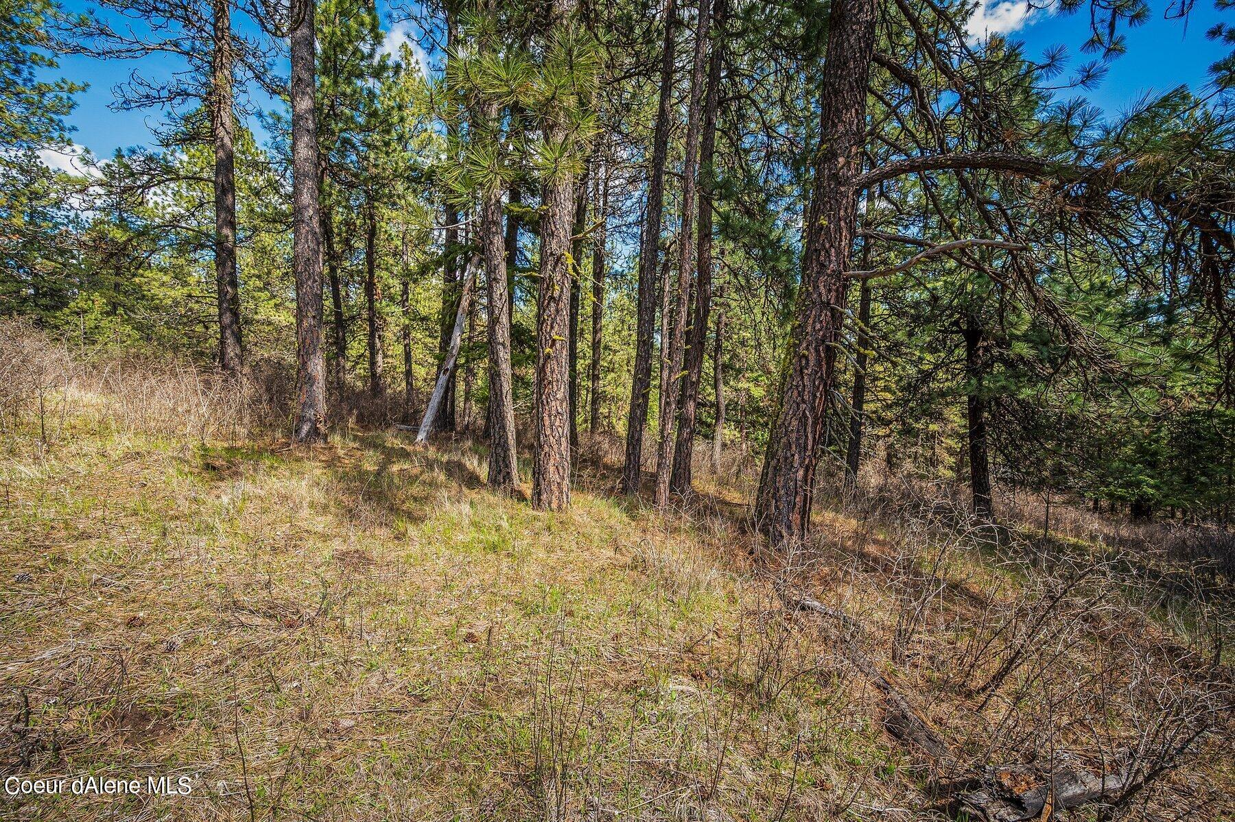 NKA Becky Lane, Worley, Idaho image 17