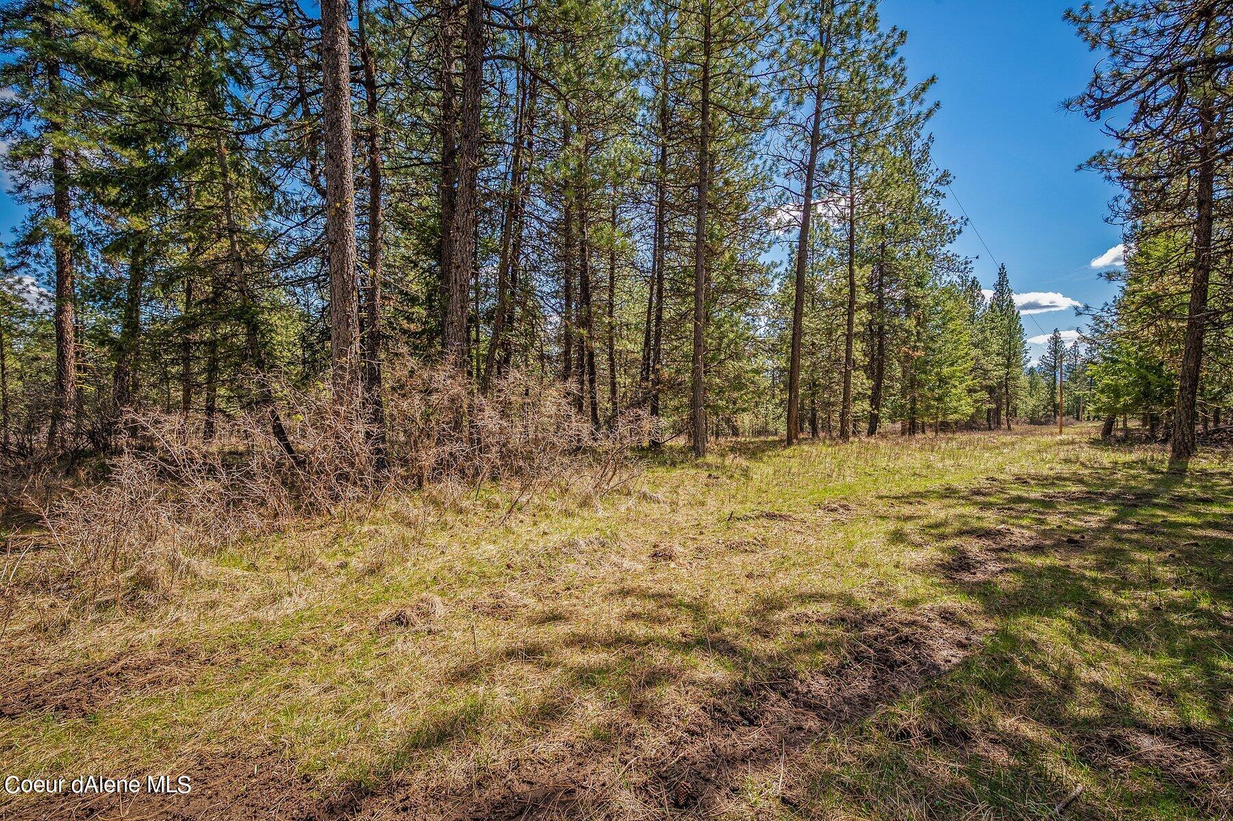 NKA Becky Lane, Worley, Idaho image 9