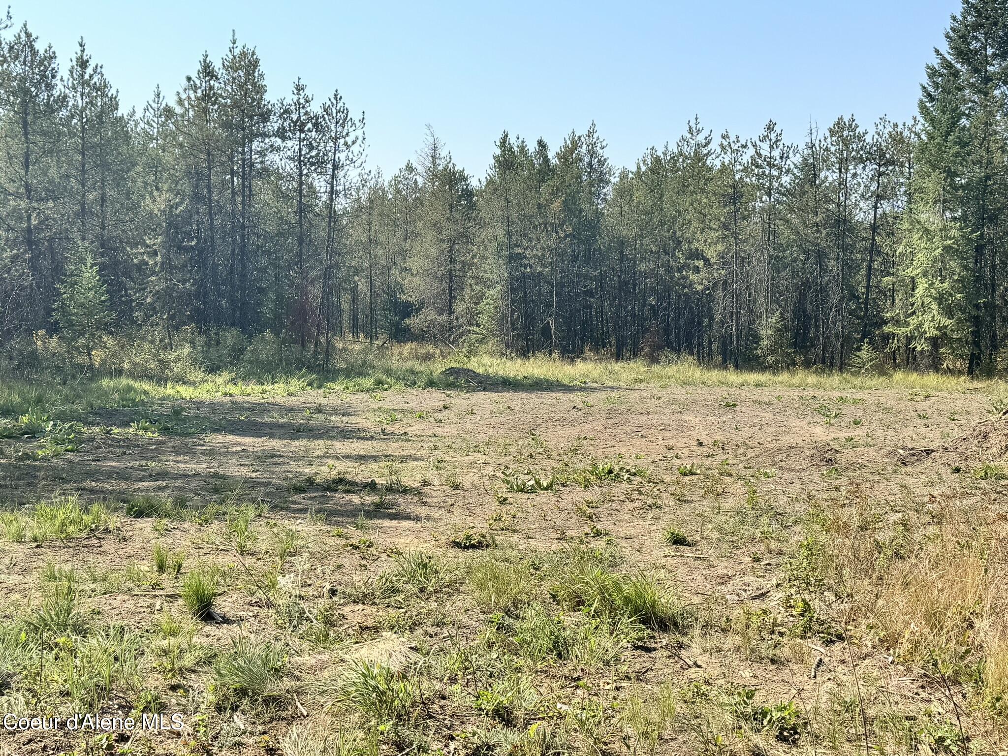 NNA 10acs Sky Meadow, Stone Pine, Priest River, Idaho image 2