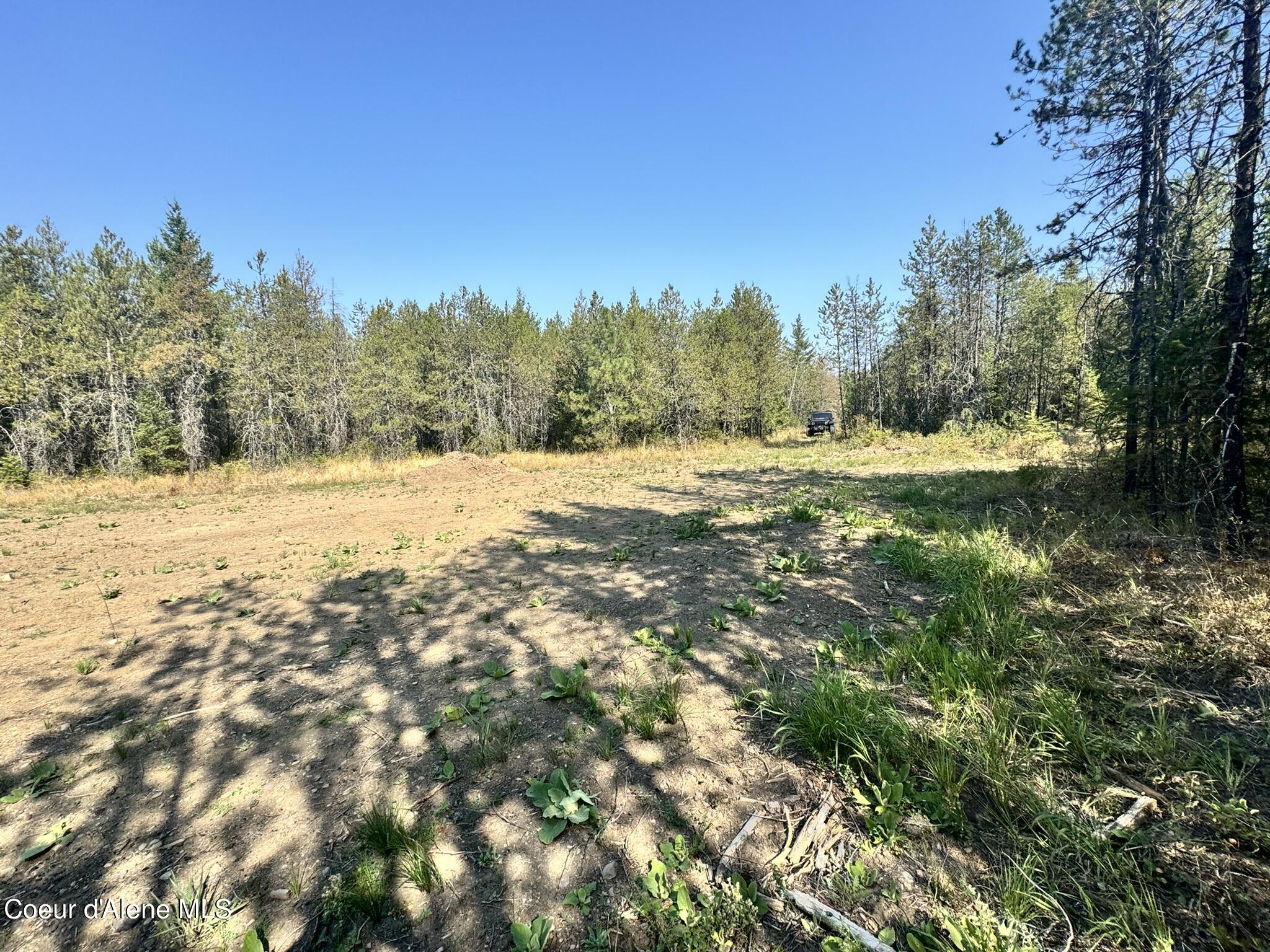 NNA 10acs Sky Meadow, Stone Pine, Priest River, Idaho image 6