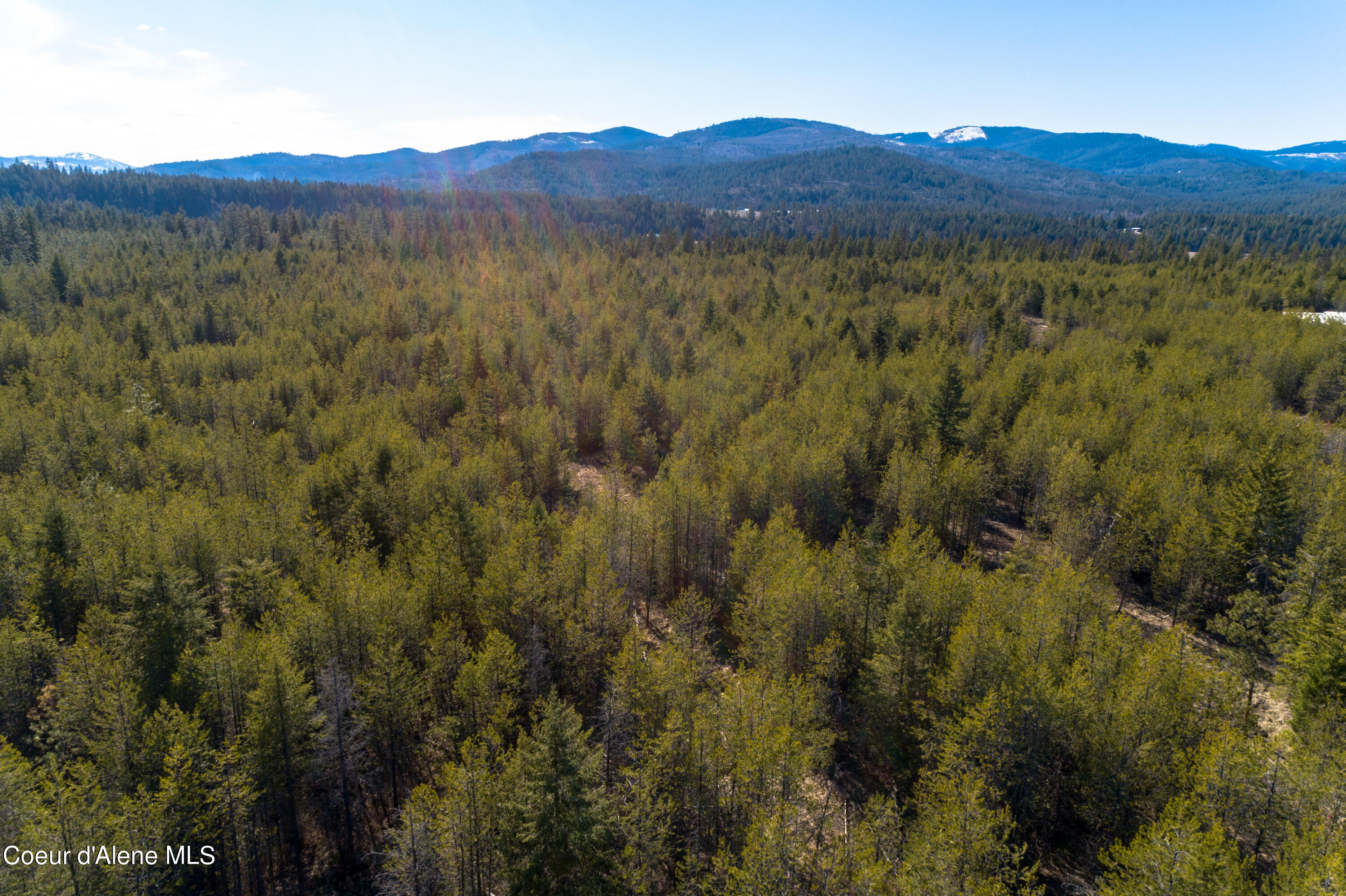 NNA 10acs Sky Meadow, Stone Pine, Priest River, Idaho image 18