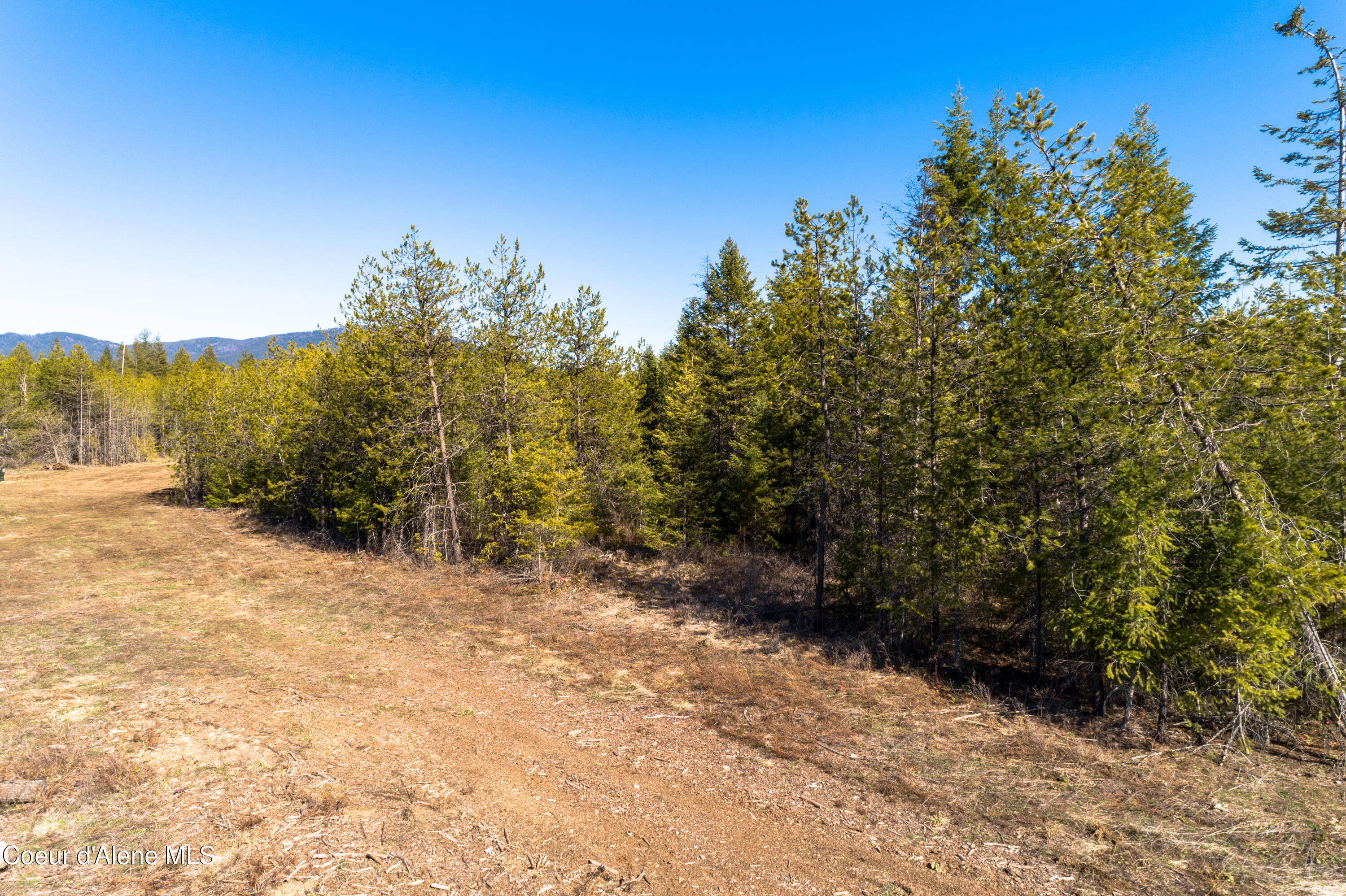 NNA 10acs Sky Meadow, Stone Pine, Priest River, Idaho image 11