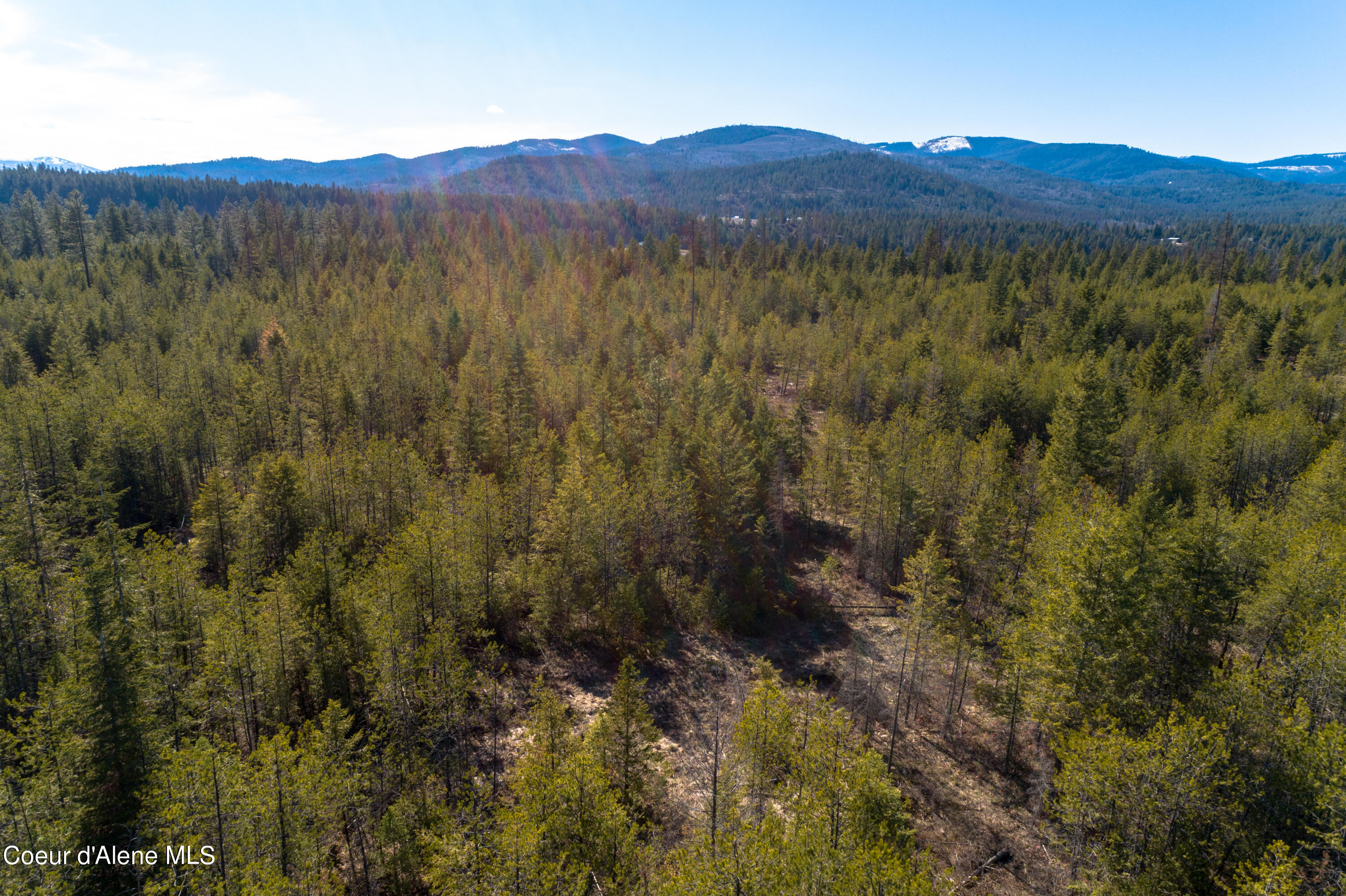 NNA 10acs Sky Meadow, Stone Pine, Priest River, Idaho image 16