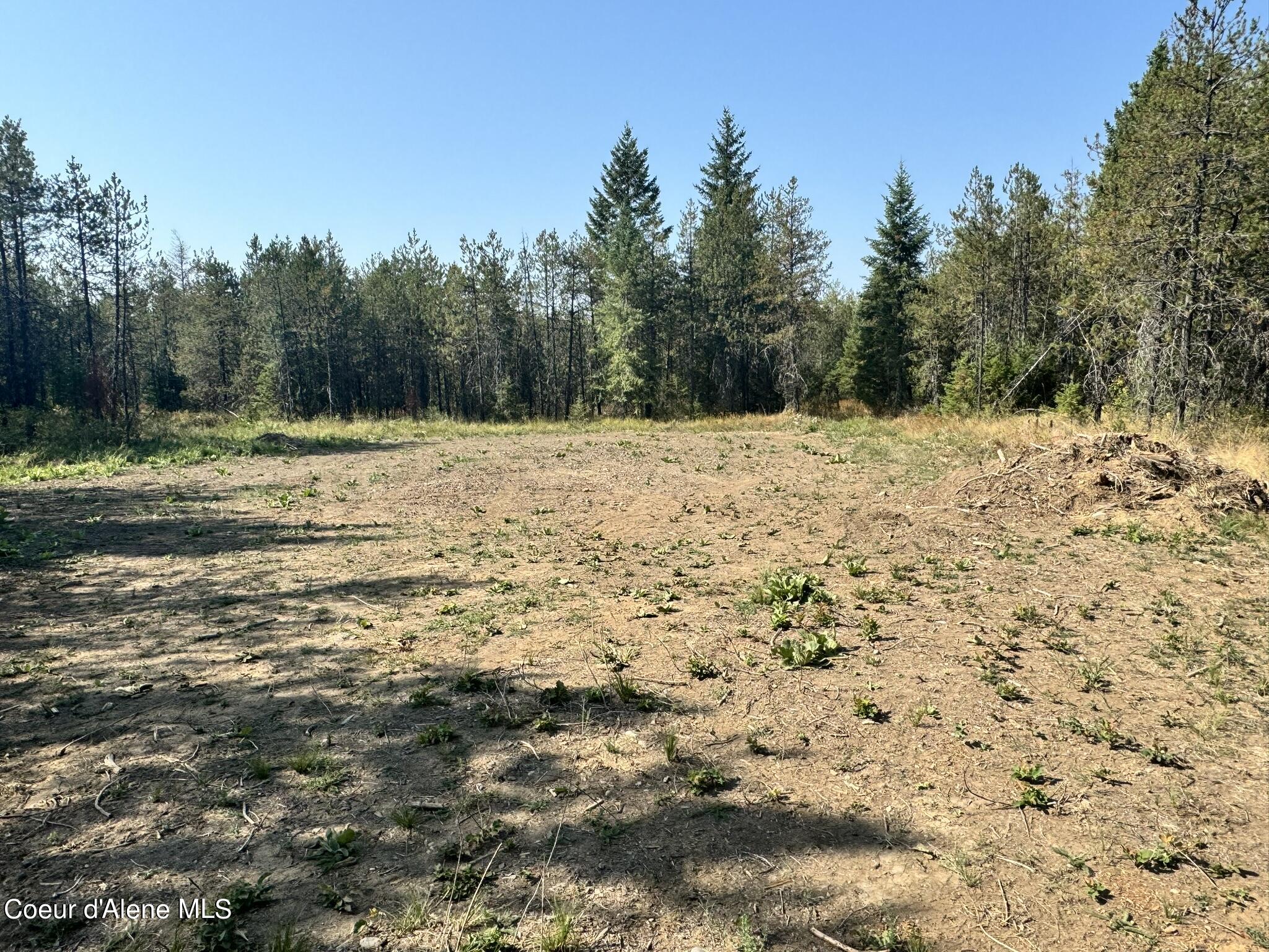 NNA 10acs Sky Meadow, Stone Pine, Priest River, Idaho image 4