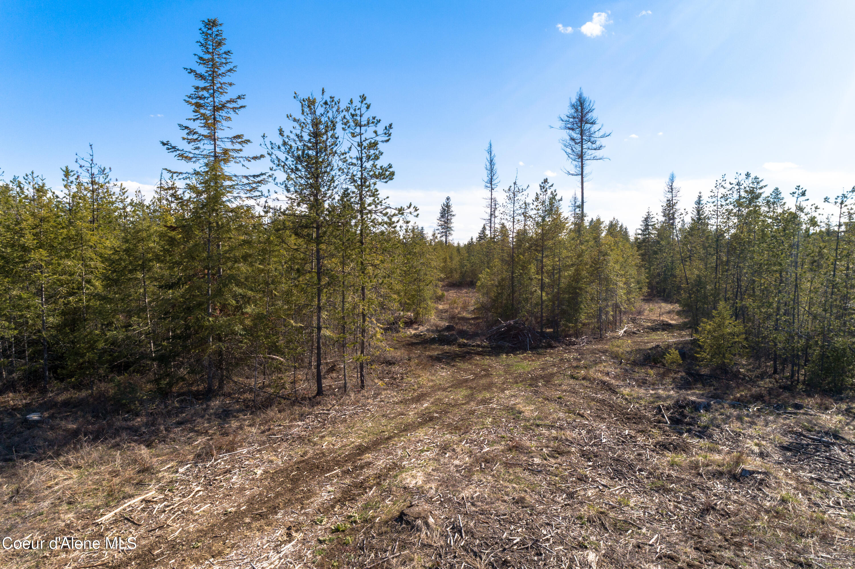 NNA 10acs Sky Meadow, Stone Pine, Priest River, Idaho image 12