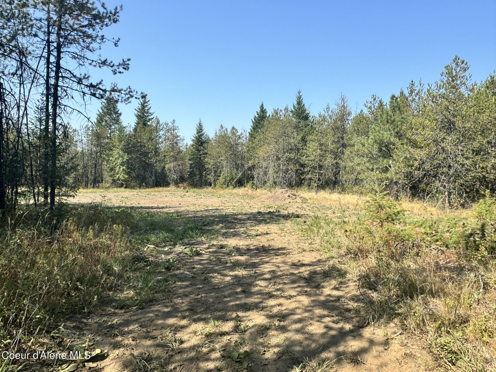 NNA 10acs Sky Meadow, Stone Pine, Priest River, Idaho image 5