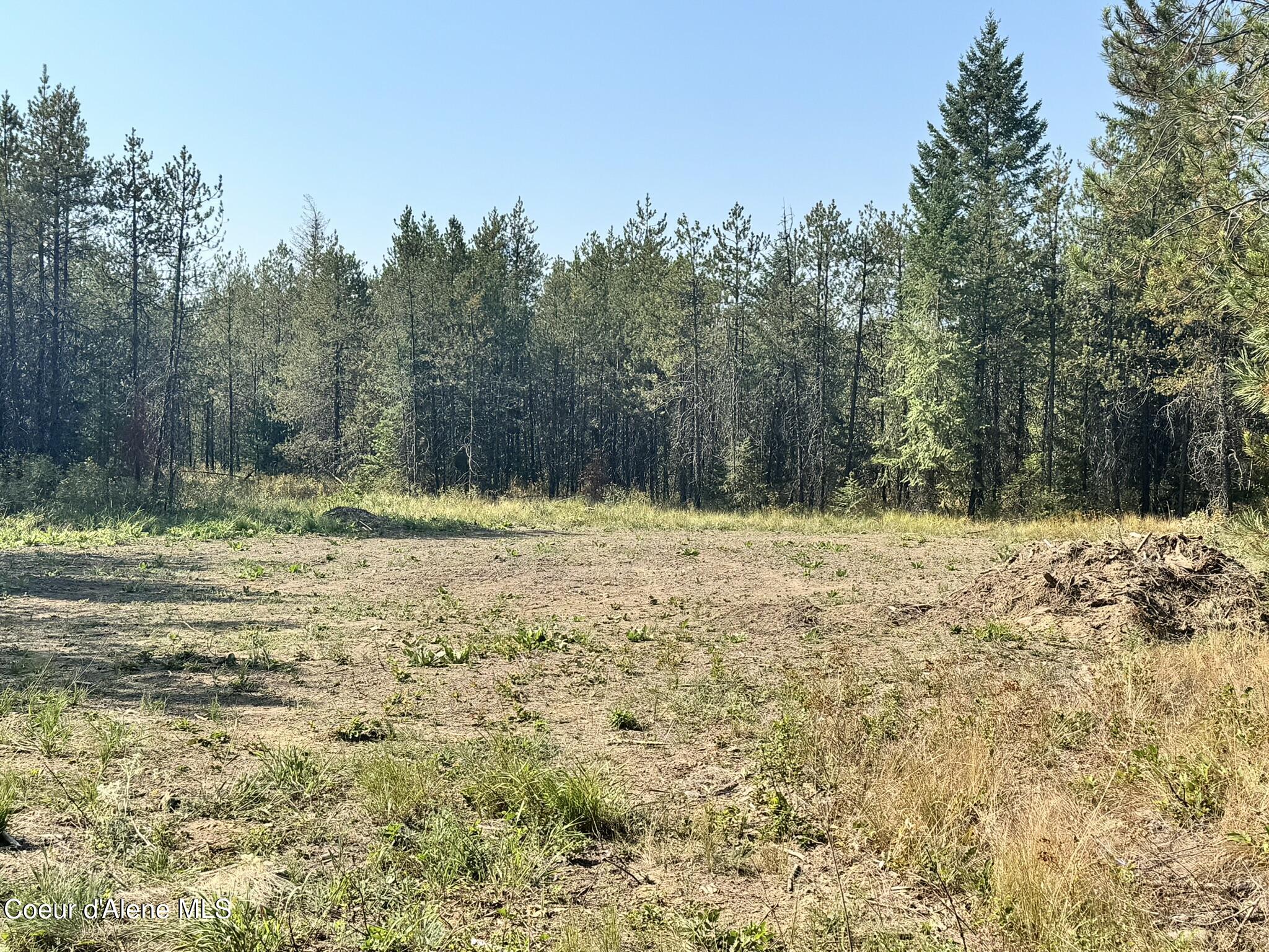 NNA 10acs Sky Meadow, Stone Pine, Priest River, Idaho image 3