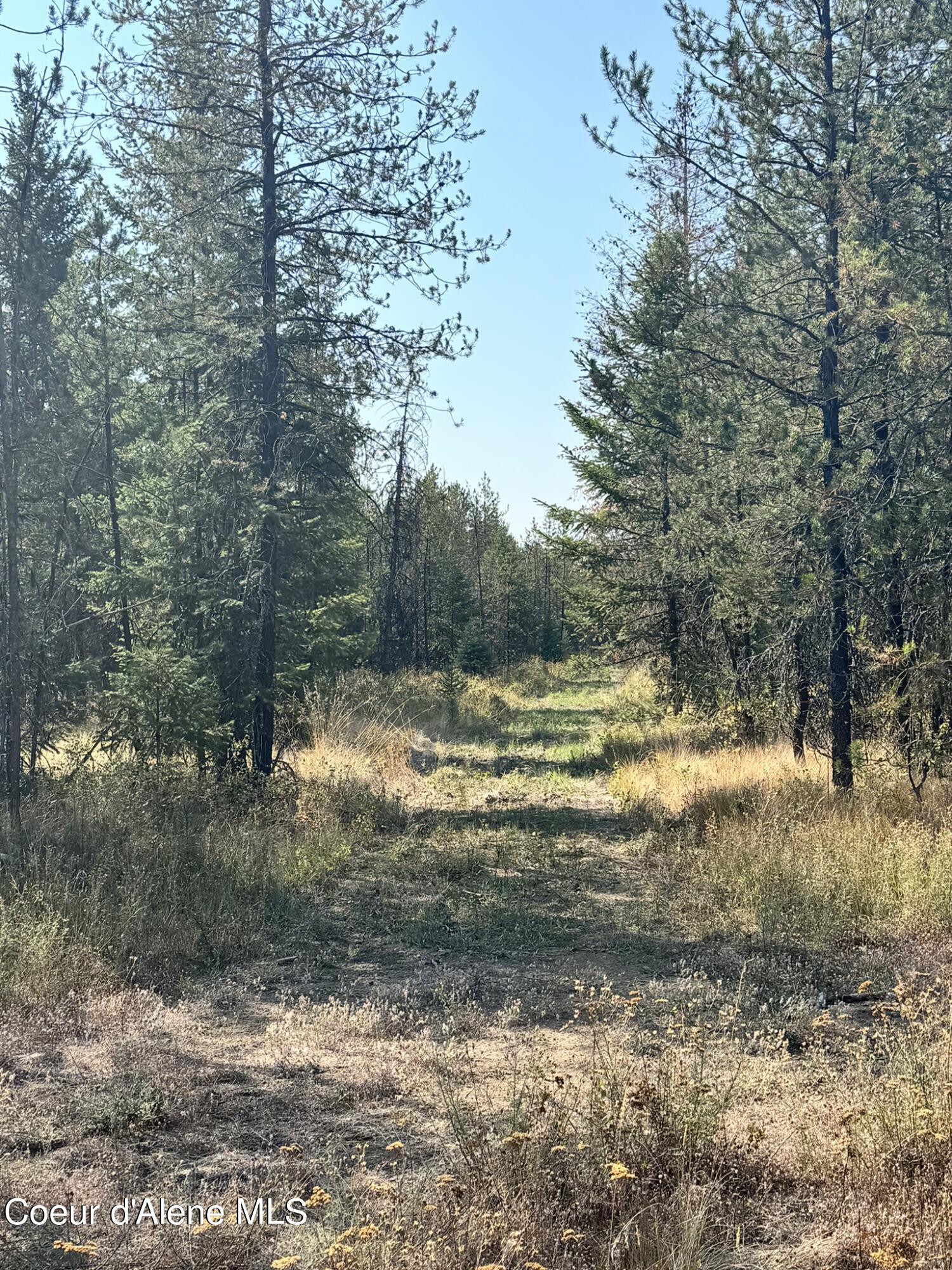 NNA 10acs Sky Meadow, Stone Pine, Priest River, Idaho image 1