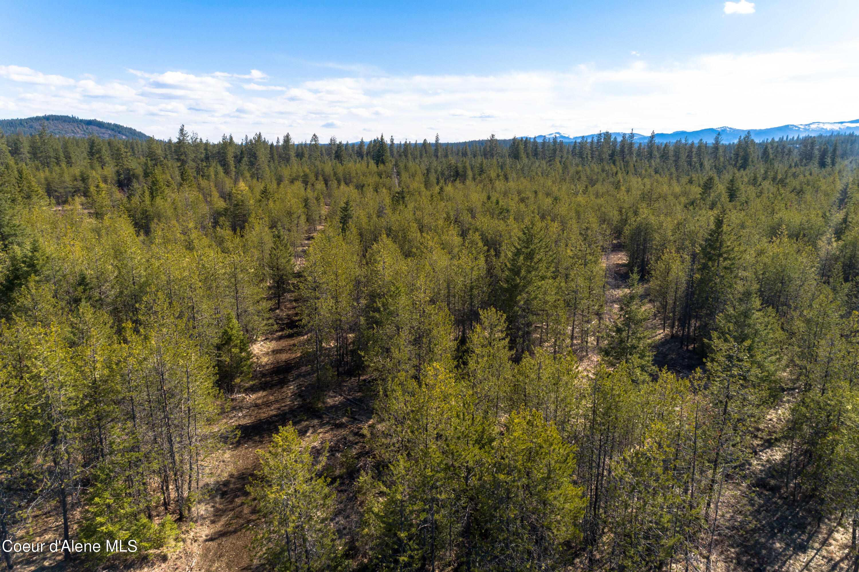 NNA 10acs Sky Meadow, Stone Pine, Priest River, Idaho image 15