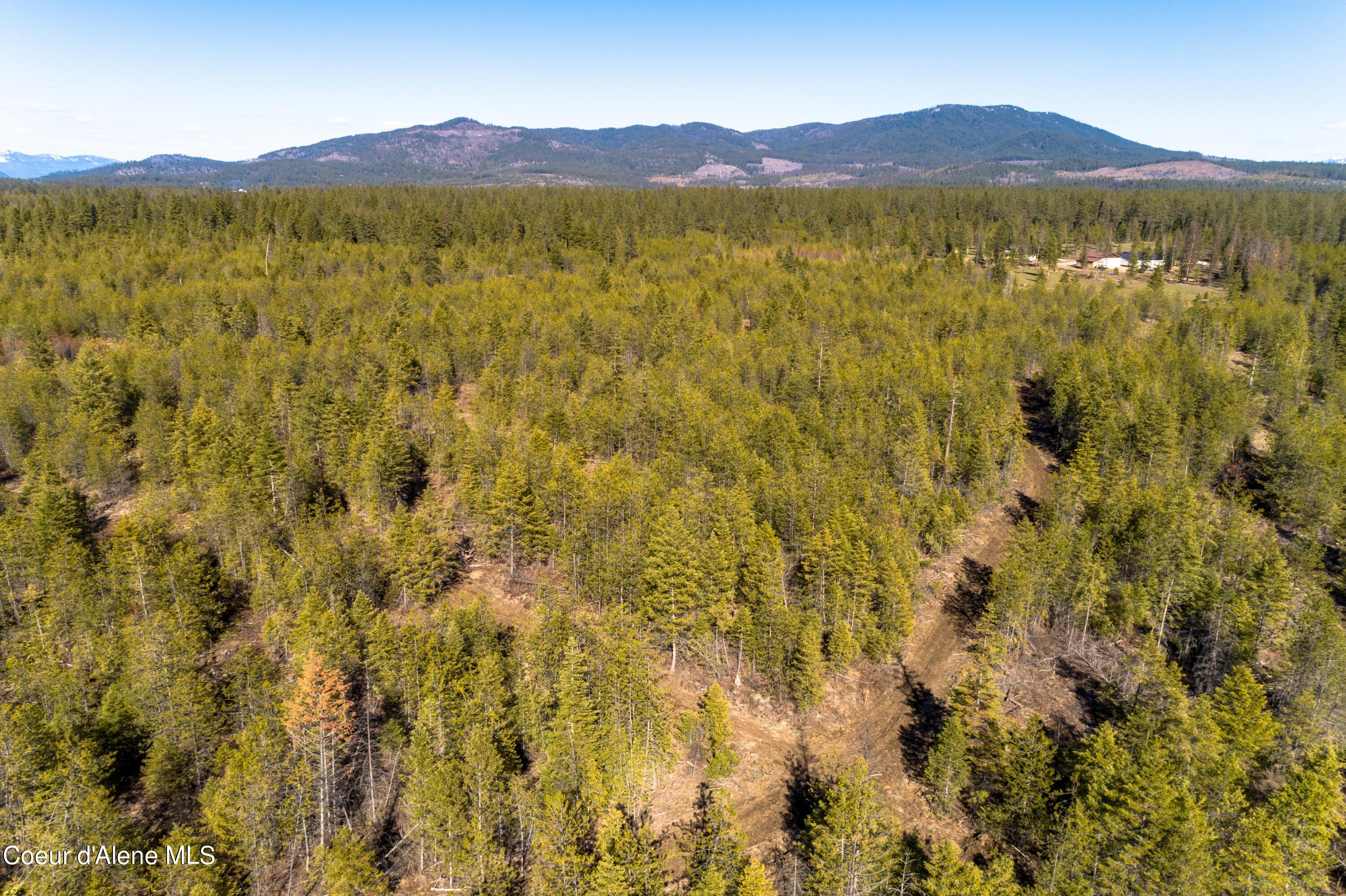 NNA 10acs Sky Meadow, Stone Pine, Priest River, Idaho image 13