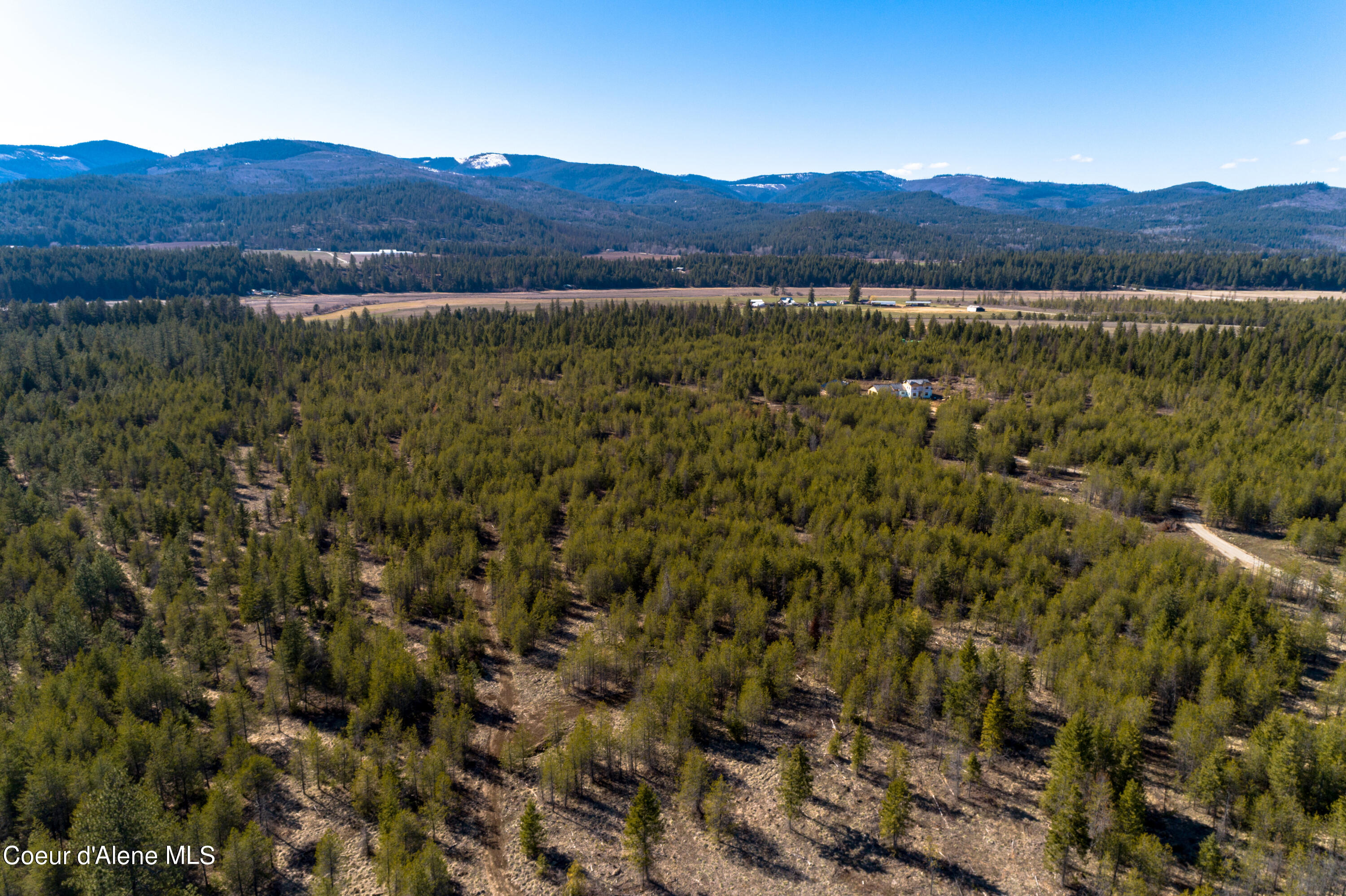 NNA 10acs Sky Meadow, Stone Pine, Priest River, Idaho image 19