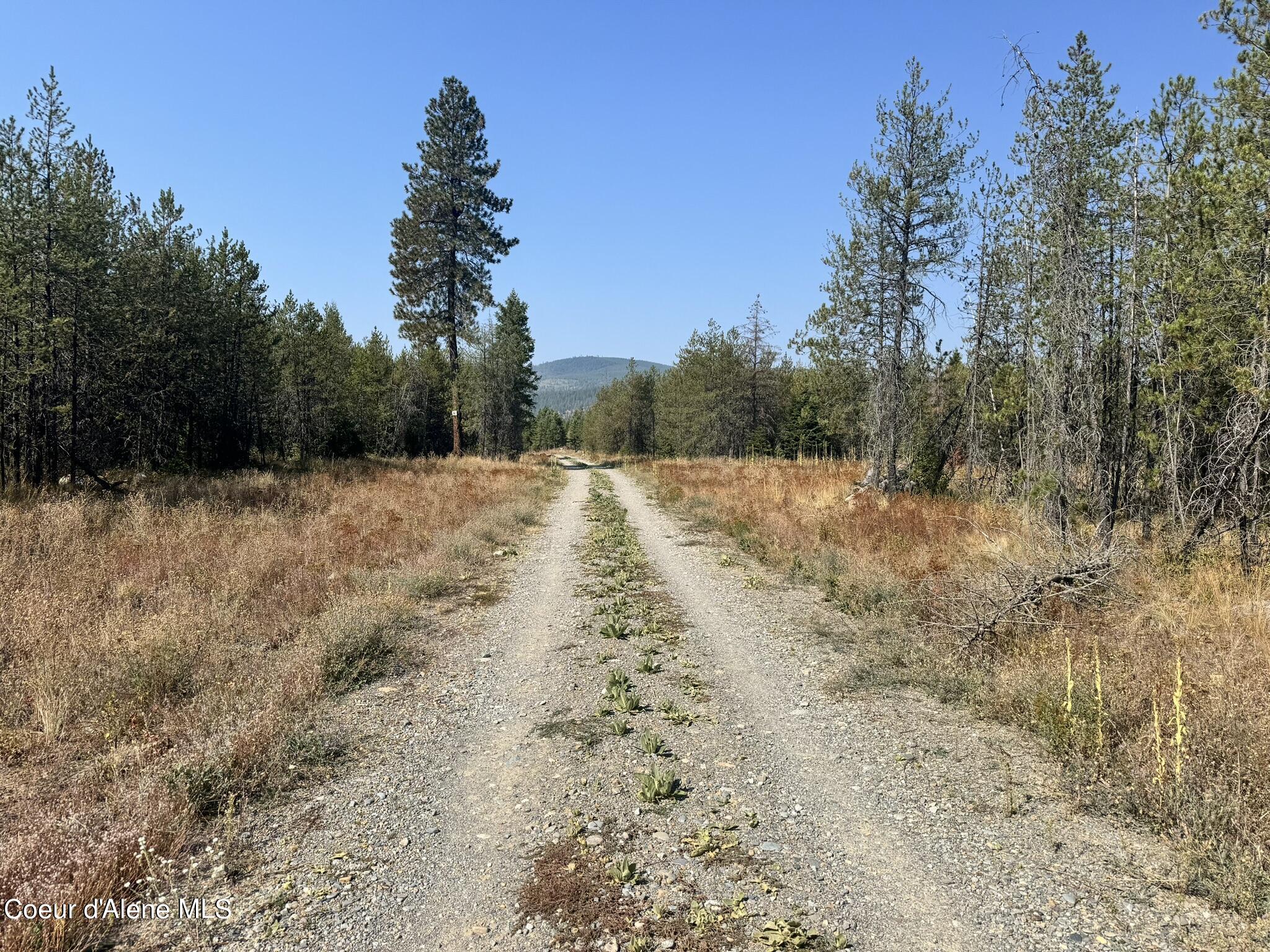 NNA 10acs Sky Meadow, Stone Pine, Priest River, Idaho image 8