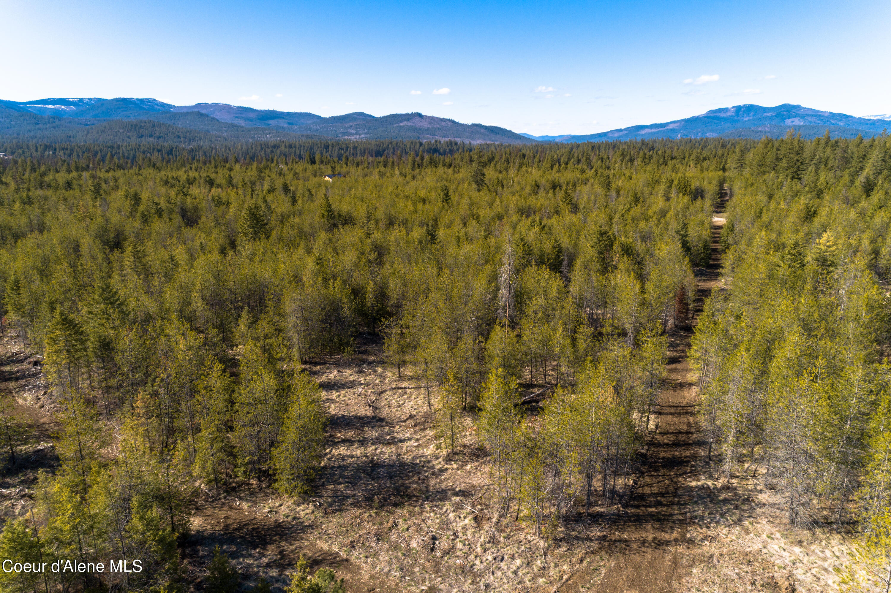 NNA 10acs Sky Meadow, Stone Pine, Priest River, Idaho image 14