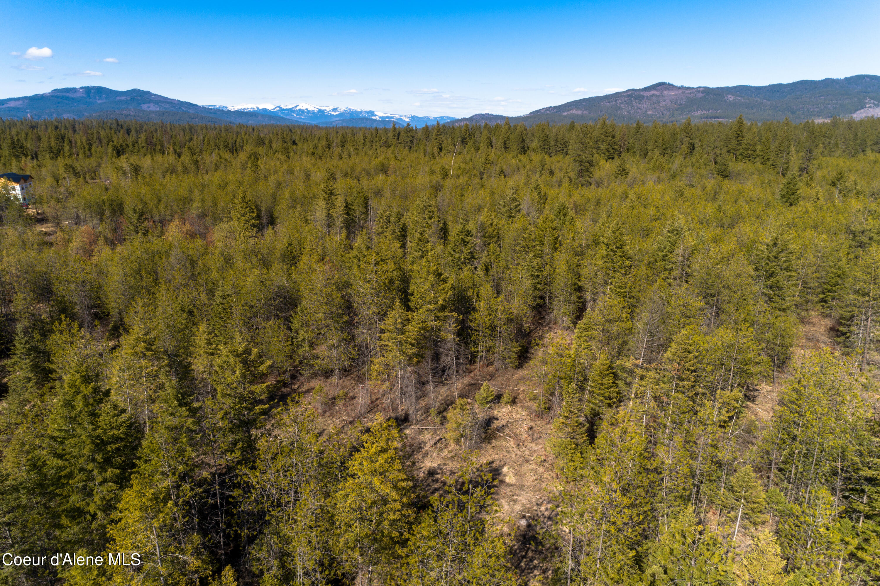 NNA 10acs Sky Meadow, Stone Pine, Priest River, Idaho image 17