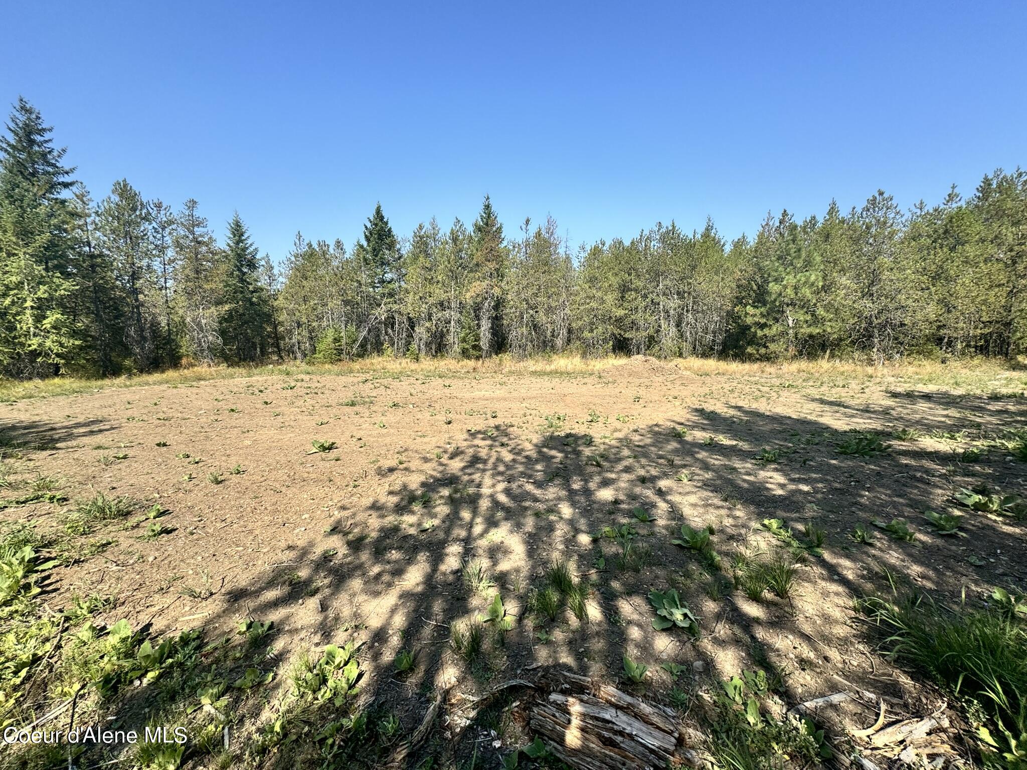 NNA 10acs Sky Meadow, Stone Pine, Priest River, Idaho image 7