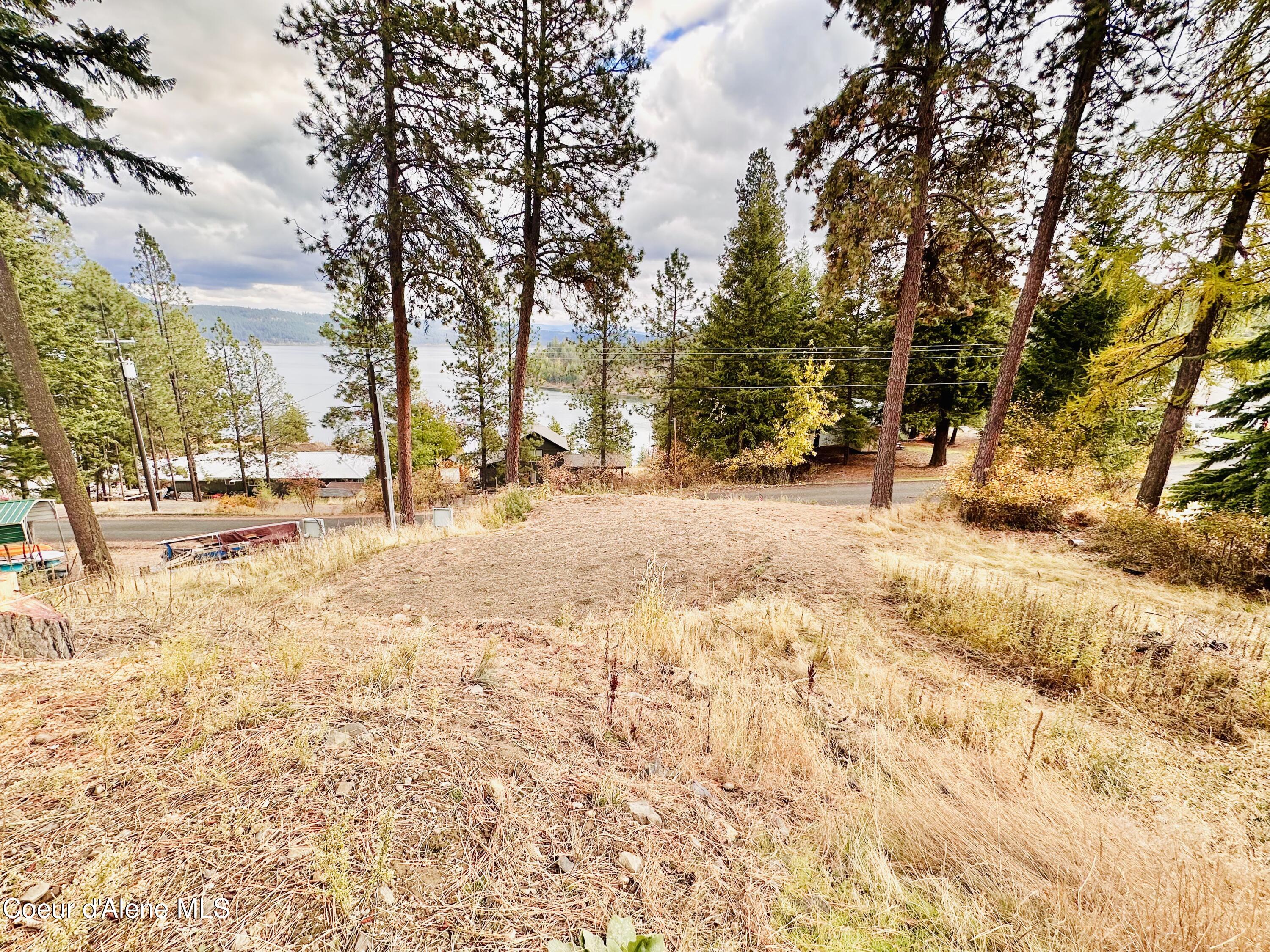 21503 S Cave Bay Rd, Worley, Idaho image 17