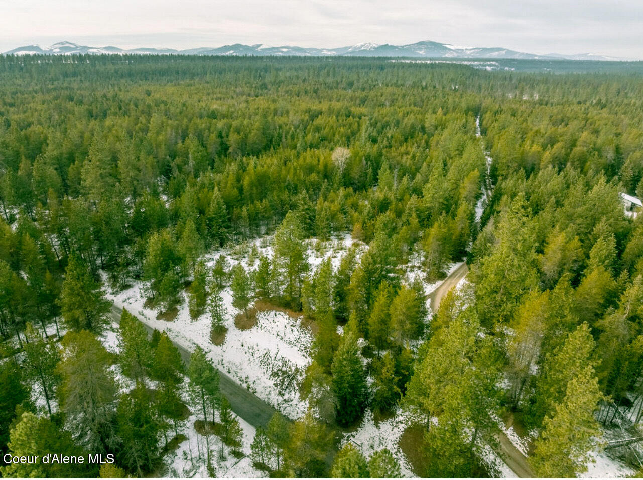 TBD Homestead Rd, Athol, Idaho image 5