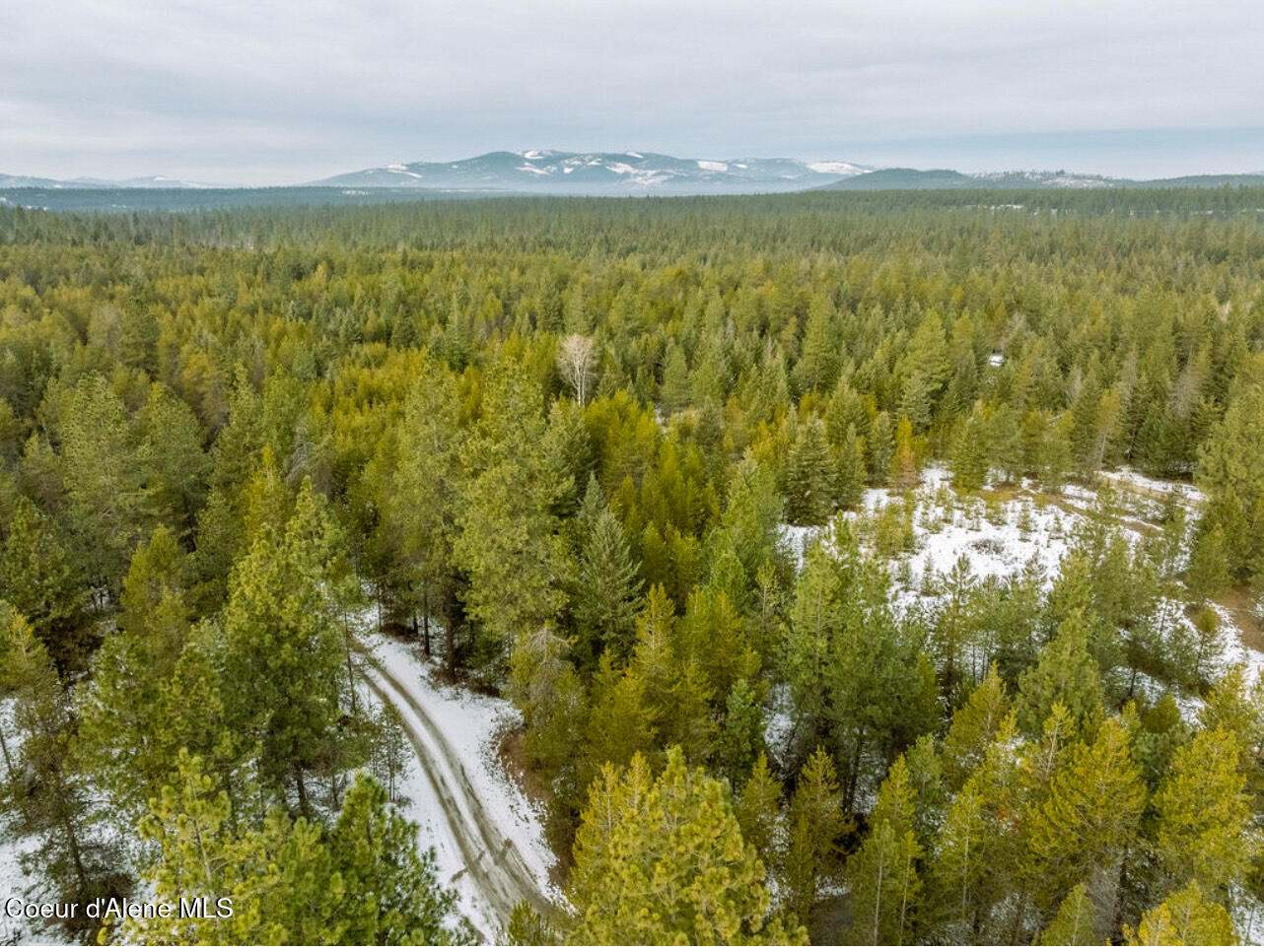 TBD Homestead Rd, Athol, Idaho image 9