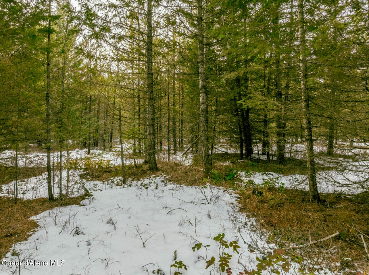 TBD Homestead Rd, Athol, Idaho image 2