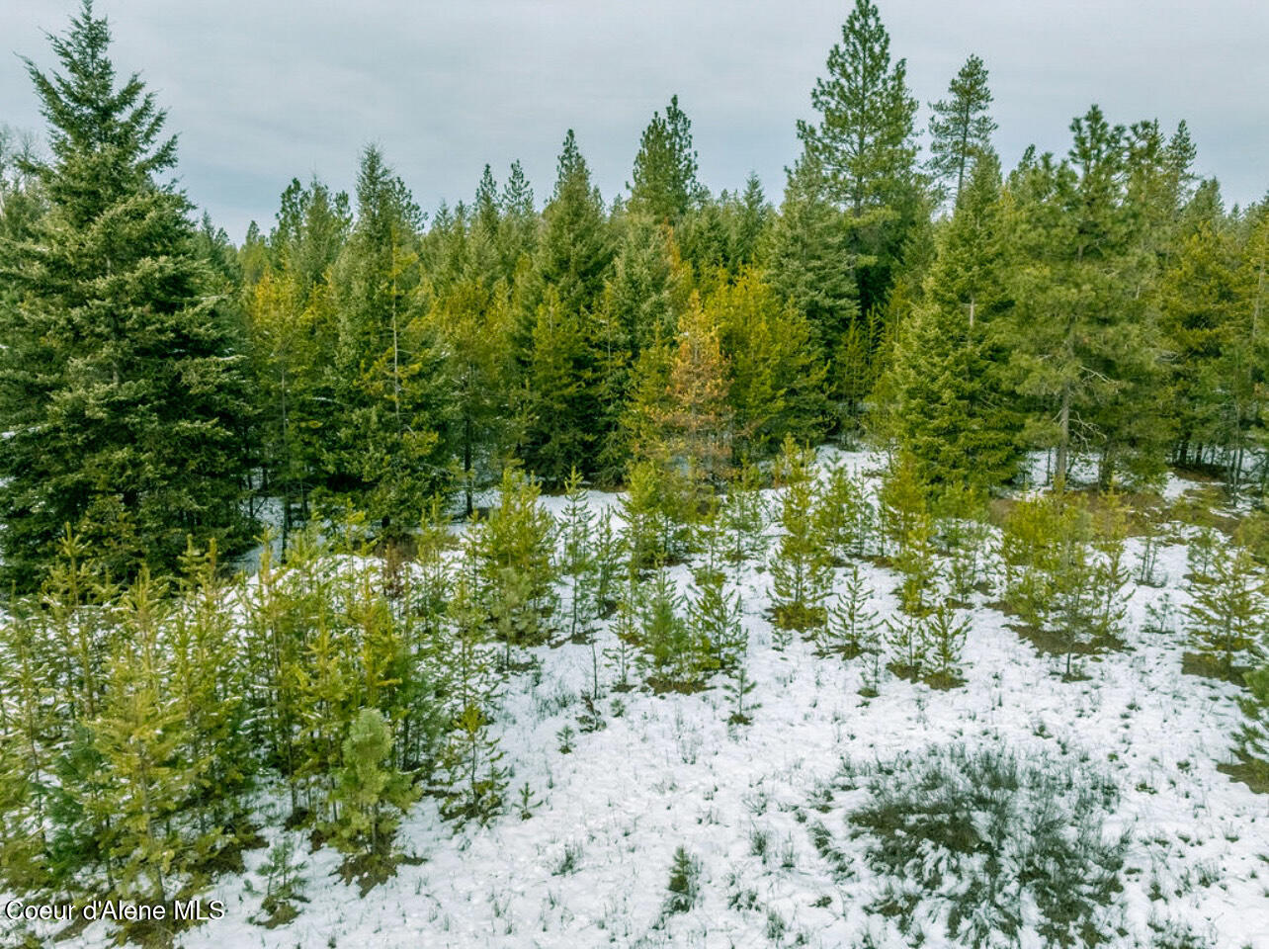 TBD Homestead Rd, Athol, Idaho image 4