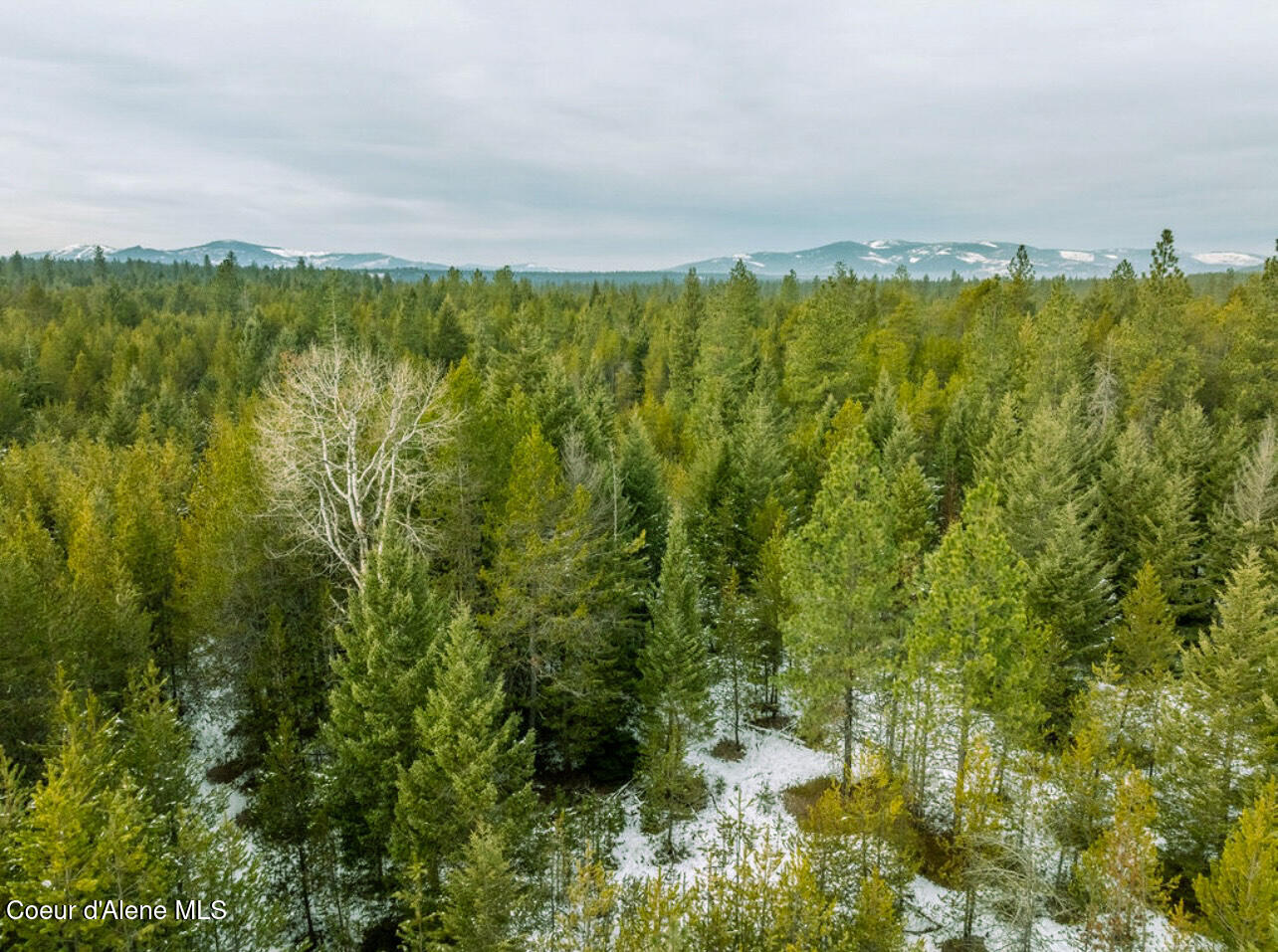 TBD Homestead Rd, Athol, Idaho image 3