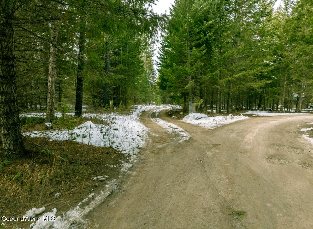 TBD Homestead Rd, Athol, Idaho image 8