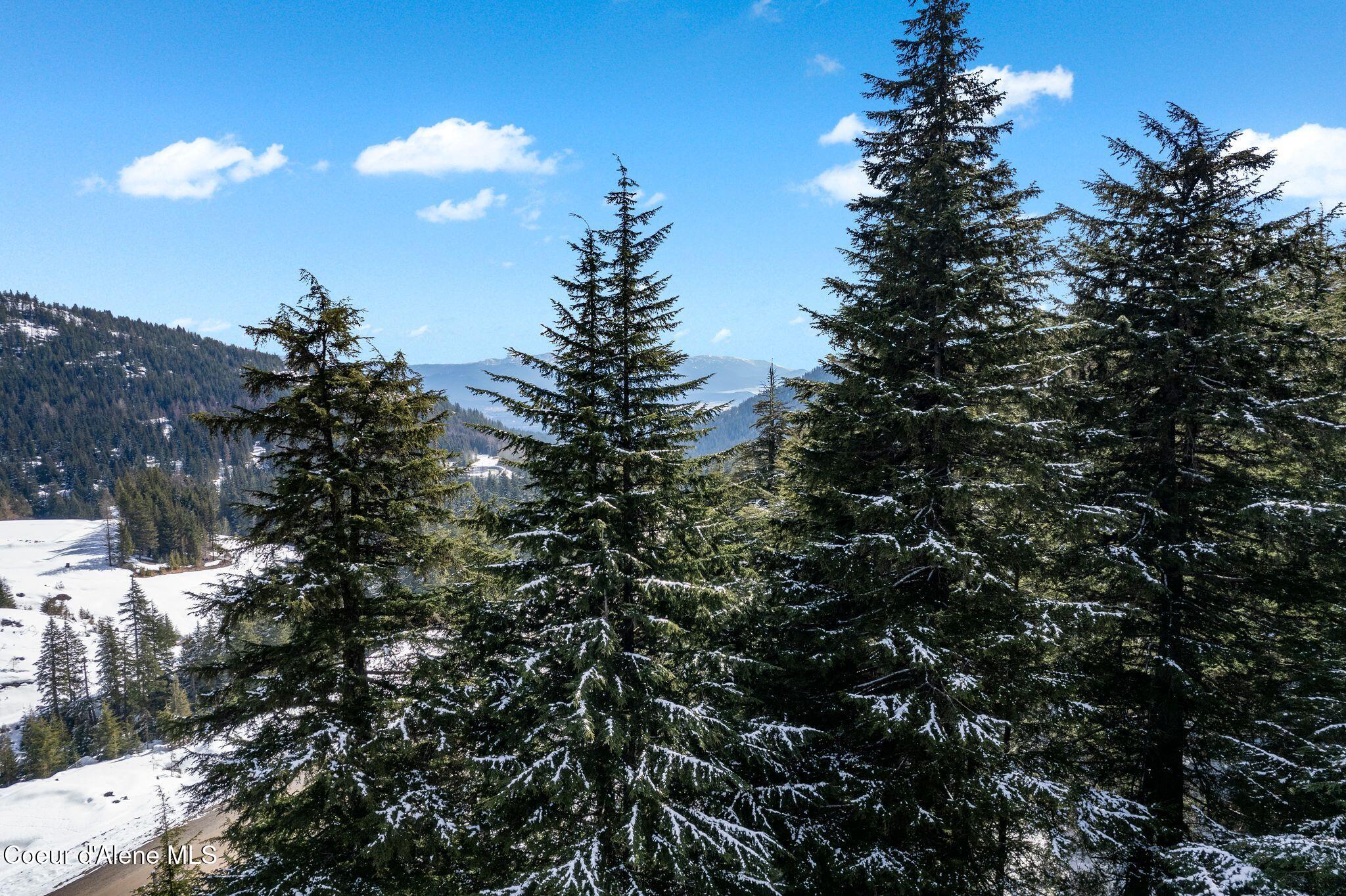 NNA Telemark Rd Blk 8 Lot 15, Sandpoint, Idaho image 19