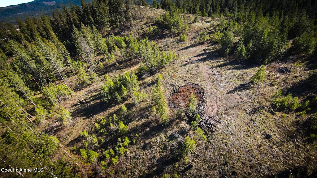 Photo of NNA Lot 4 Kacy Bear, Priest River, ID 83856 (MLS # 26-3803)