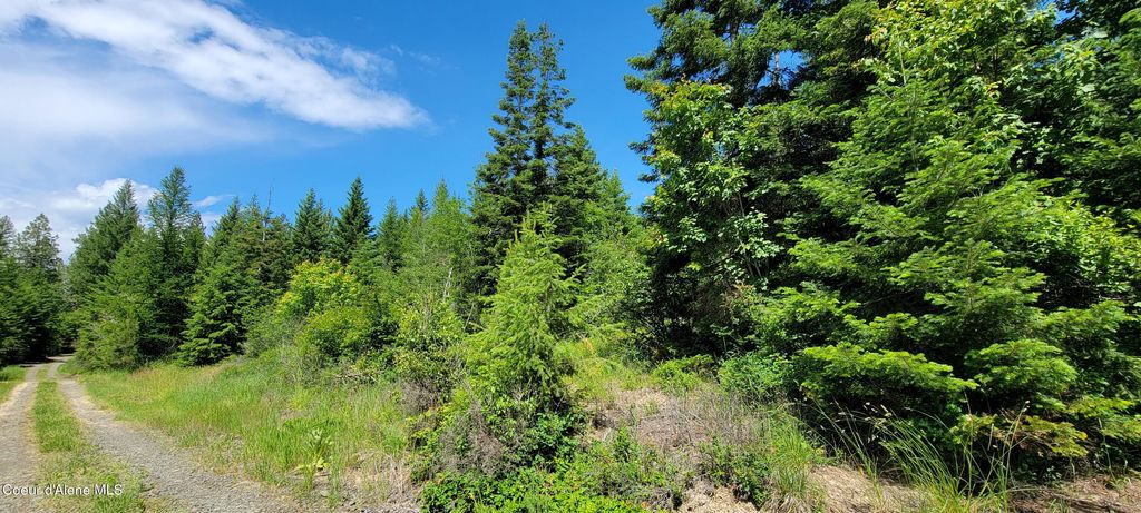 Photo of Bootlegger Lane- Parcel 1, Bonners Ferry, ID 83805 (MLS # 26-3047)