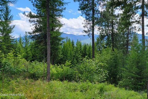 Vacant Land For Sale - Bootlegger Lane- Parcel 1<br/> Boundary County, Bonners Ferry, ID 83805