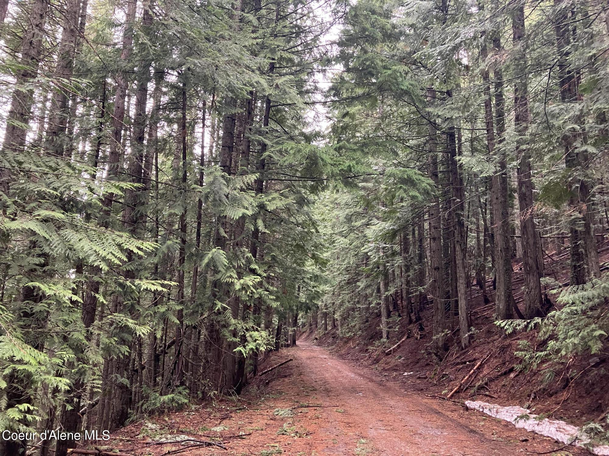 NNA Crystal Peak Rd, Fernwood, Idaho image 9