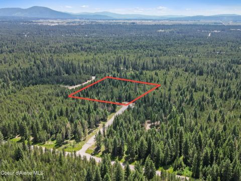 Vacant Land For Sale - NKA Sturgeon<br/> Rathdrum, ID 83858