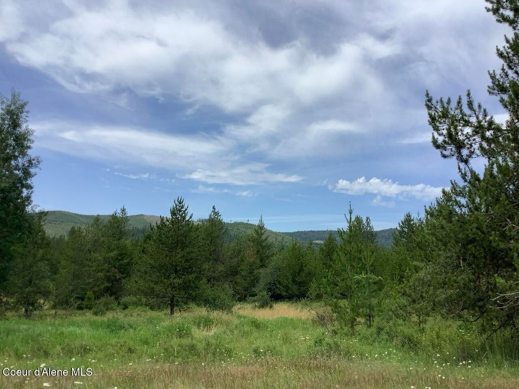 Photo of 6450 Alder Creek Creek, St. Maries, ID 83861 (MLS # 26-7576)