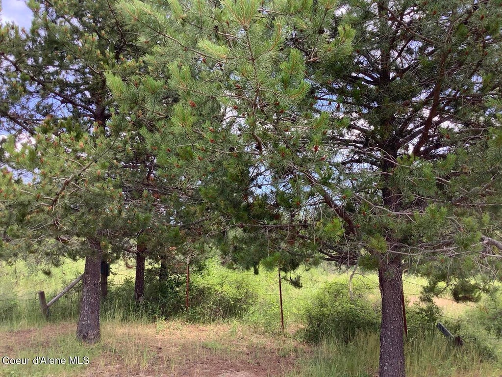 Photo of 6450 Alder Creek Creek, St. Maries, ID 83861 (MLS # 26-7576)