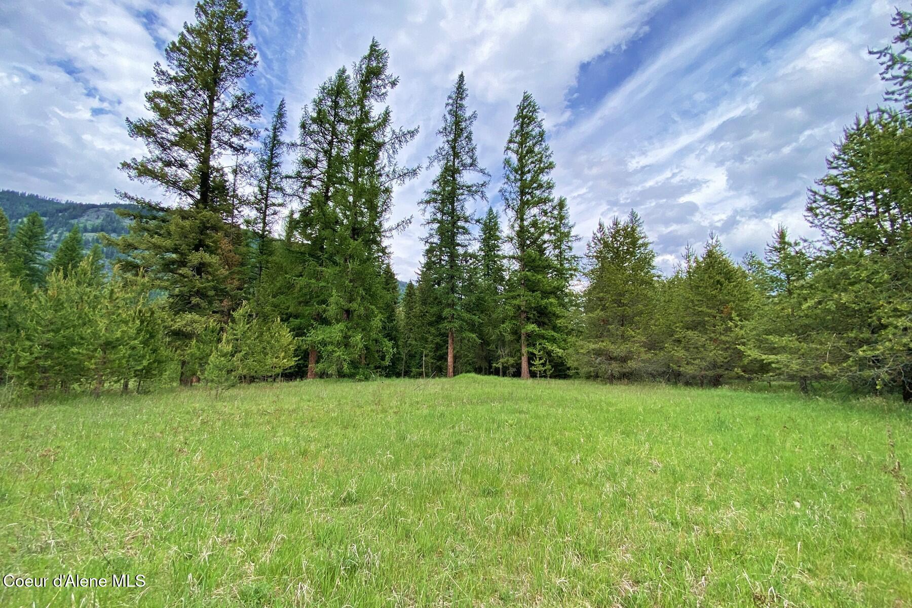 Photo 1 of 23 — NNA 58 Acres Hwy 95 N, Bonners Ferry, ID 83805