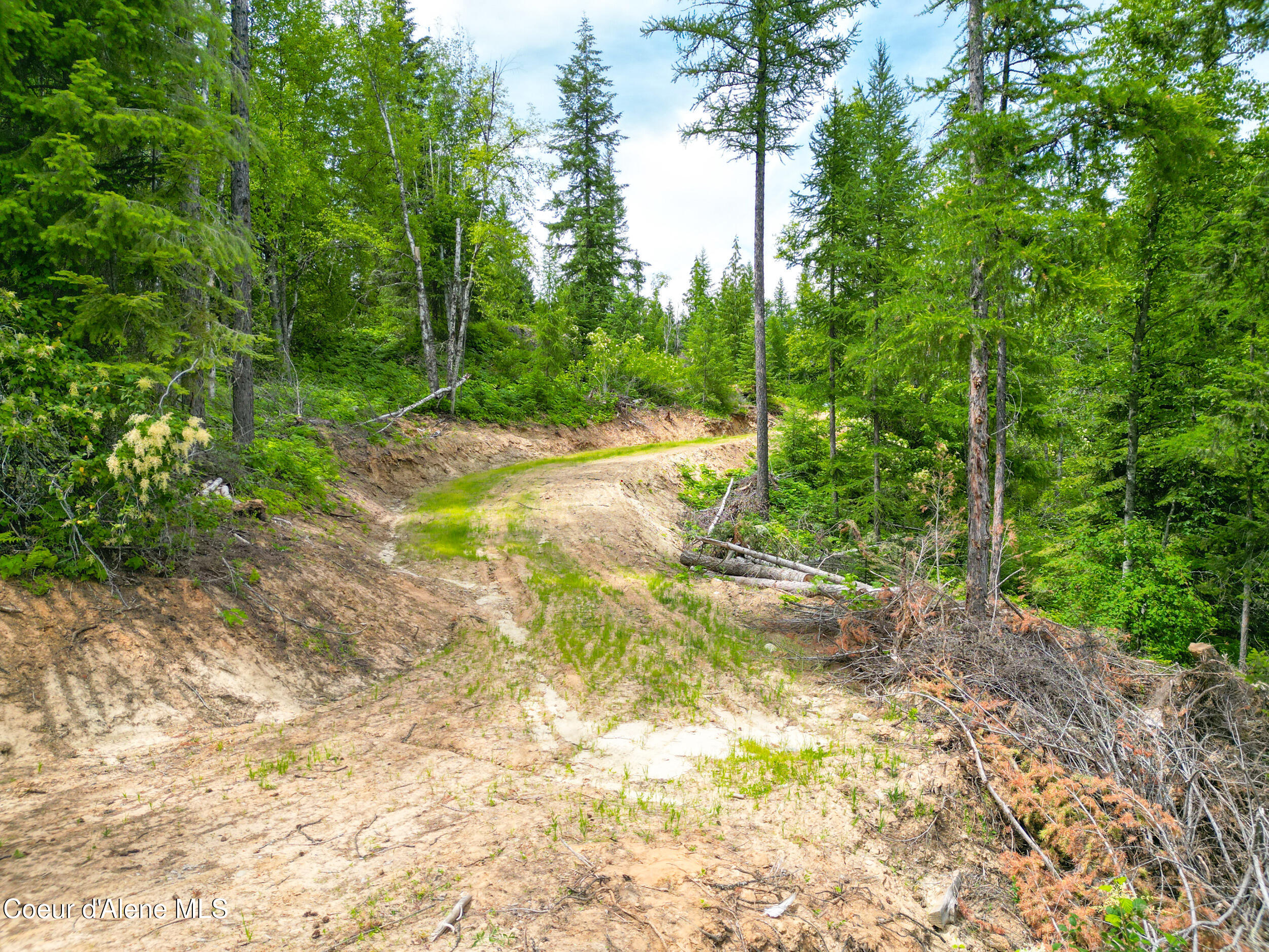 Sandpoint, Idaho 83864, United States, ,Land,Active,155669