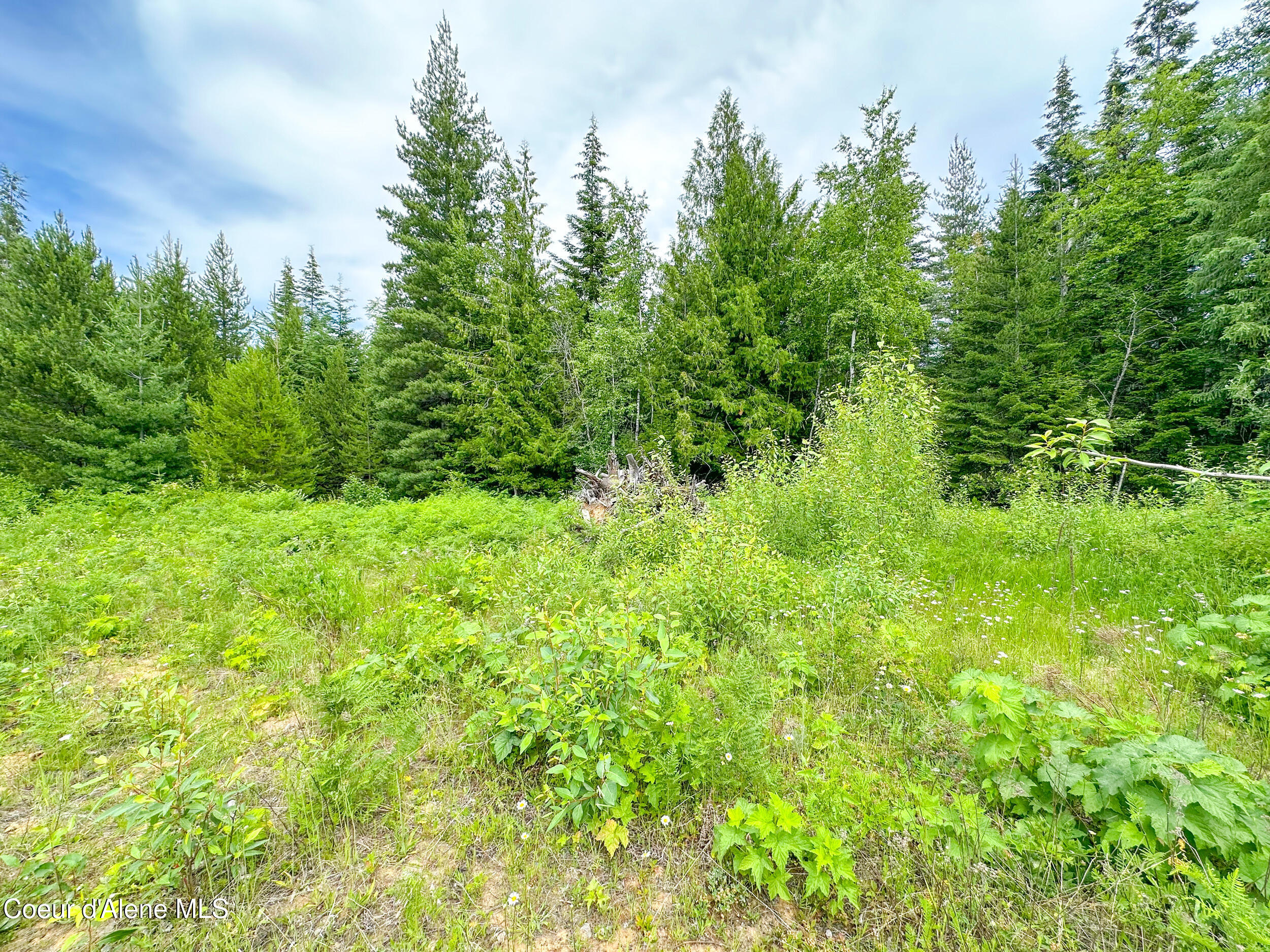 Sandpoint, Idaho 83864, United States, ,Land,Active,155669