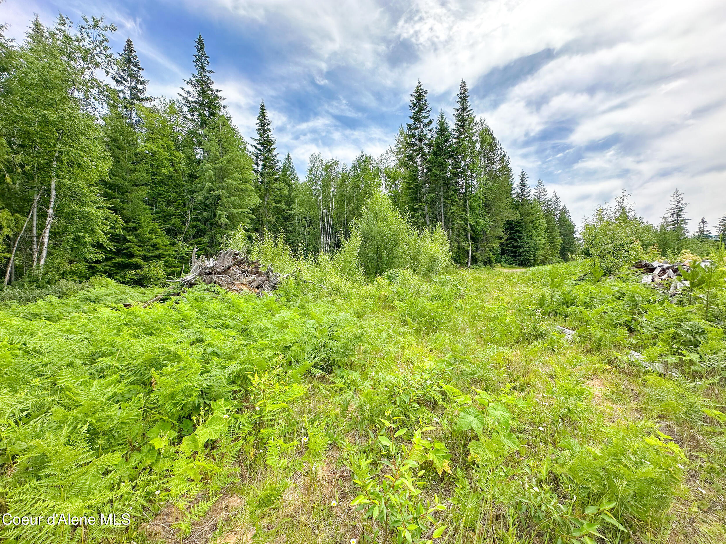 Sandpoint, Idaho 83864, United States, ,Land,Active,155669