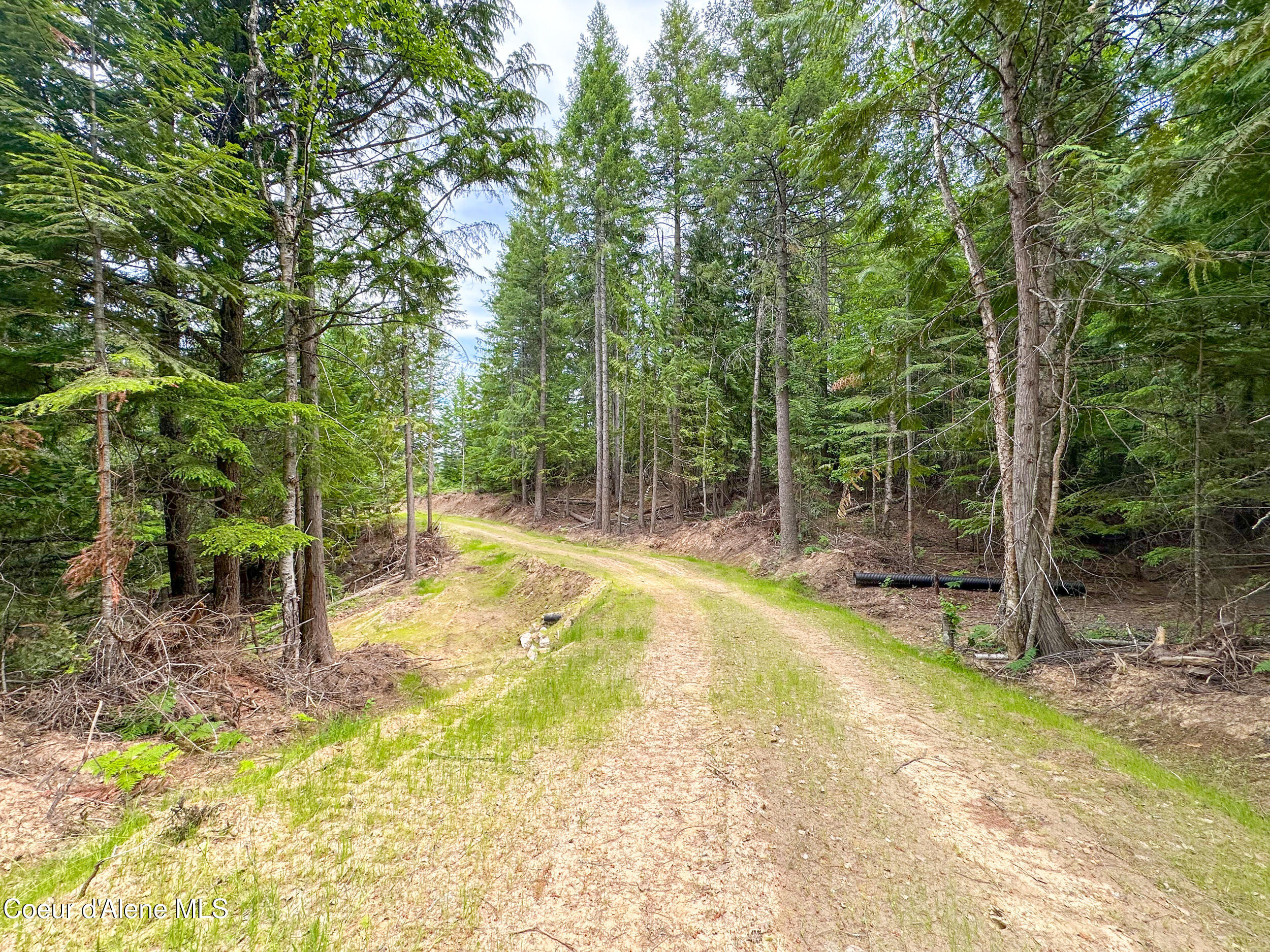 Sandpoint, Idaho 83864, United States, ,Land,Active,155669